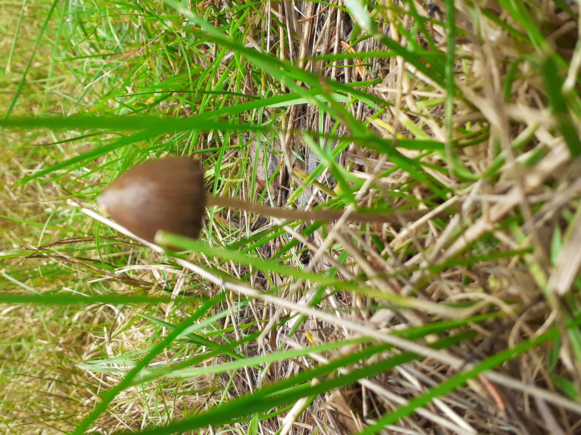 Valokuvaaja: Maarit Pietiläinen