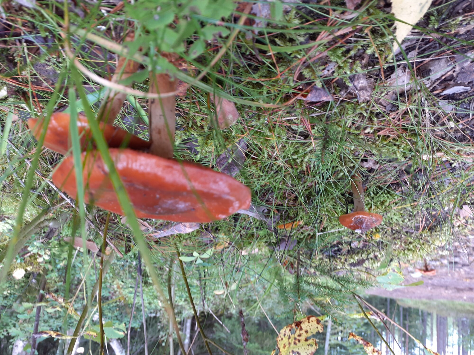 Valokuvaaja: Maarit Pietiläinen