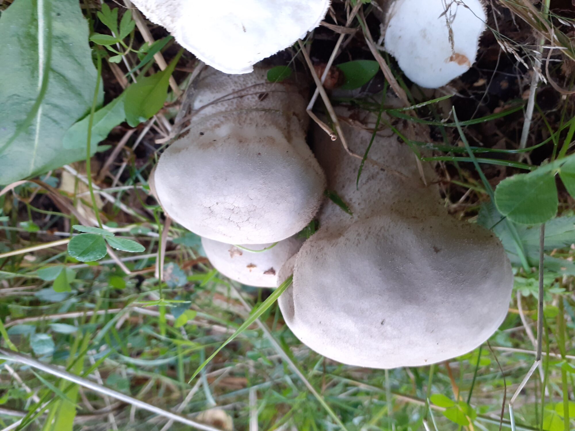 Valokuvaaja: Maarit Pietiläinen