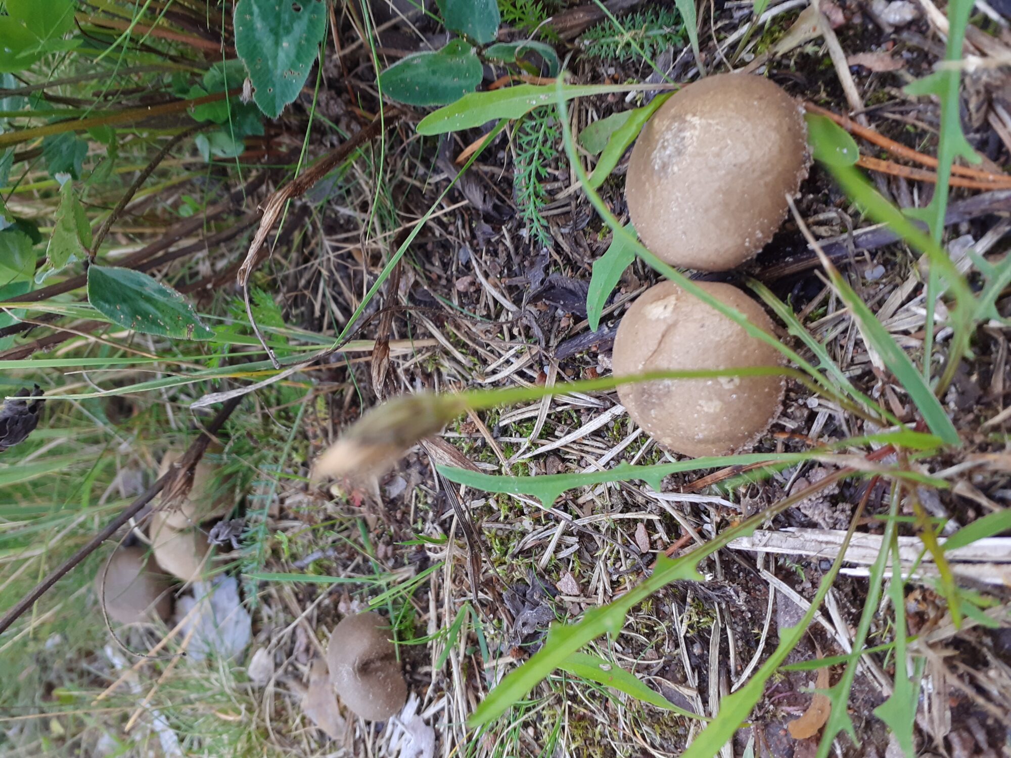 Valokuvaaja: Maarit Pietiläinen