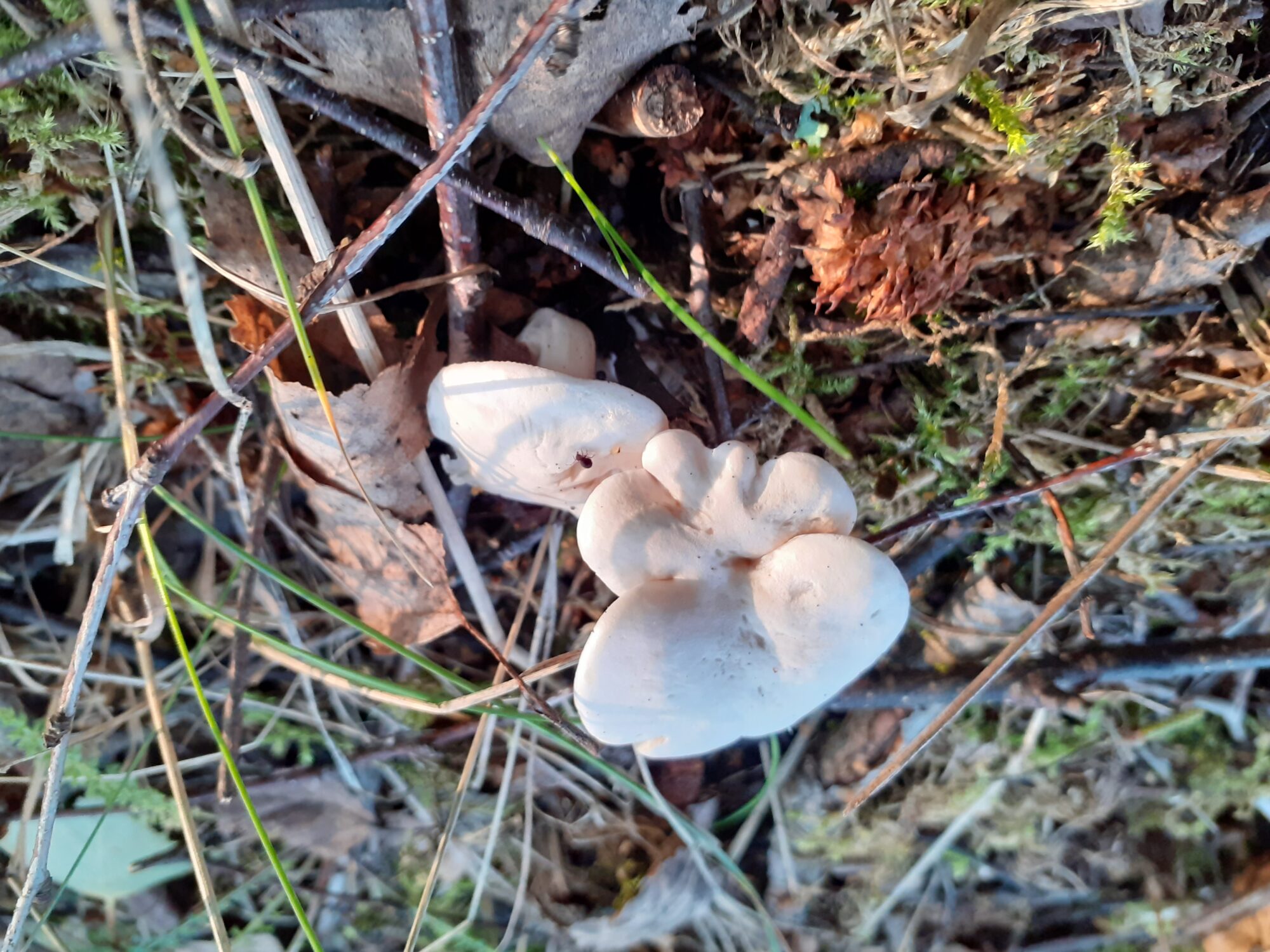 Valokuvaaja: Maarit Pietiläinen