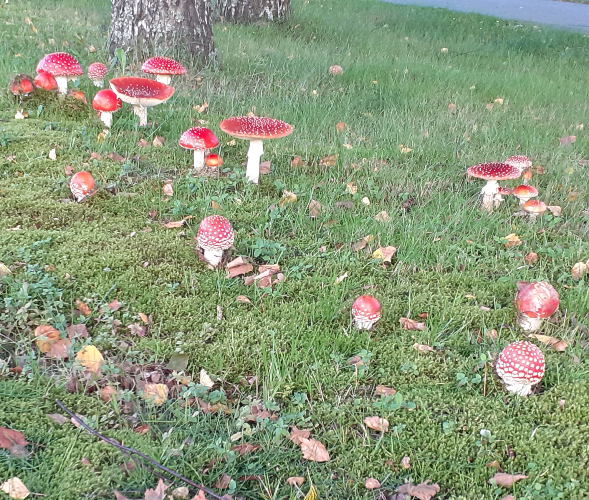 Valokuvaaja: Maarit Pietiläinen