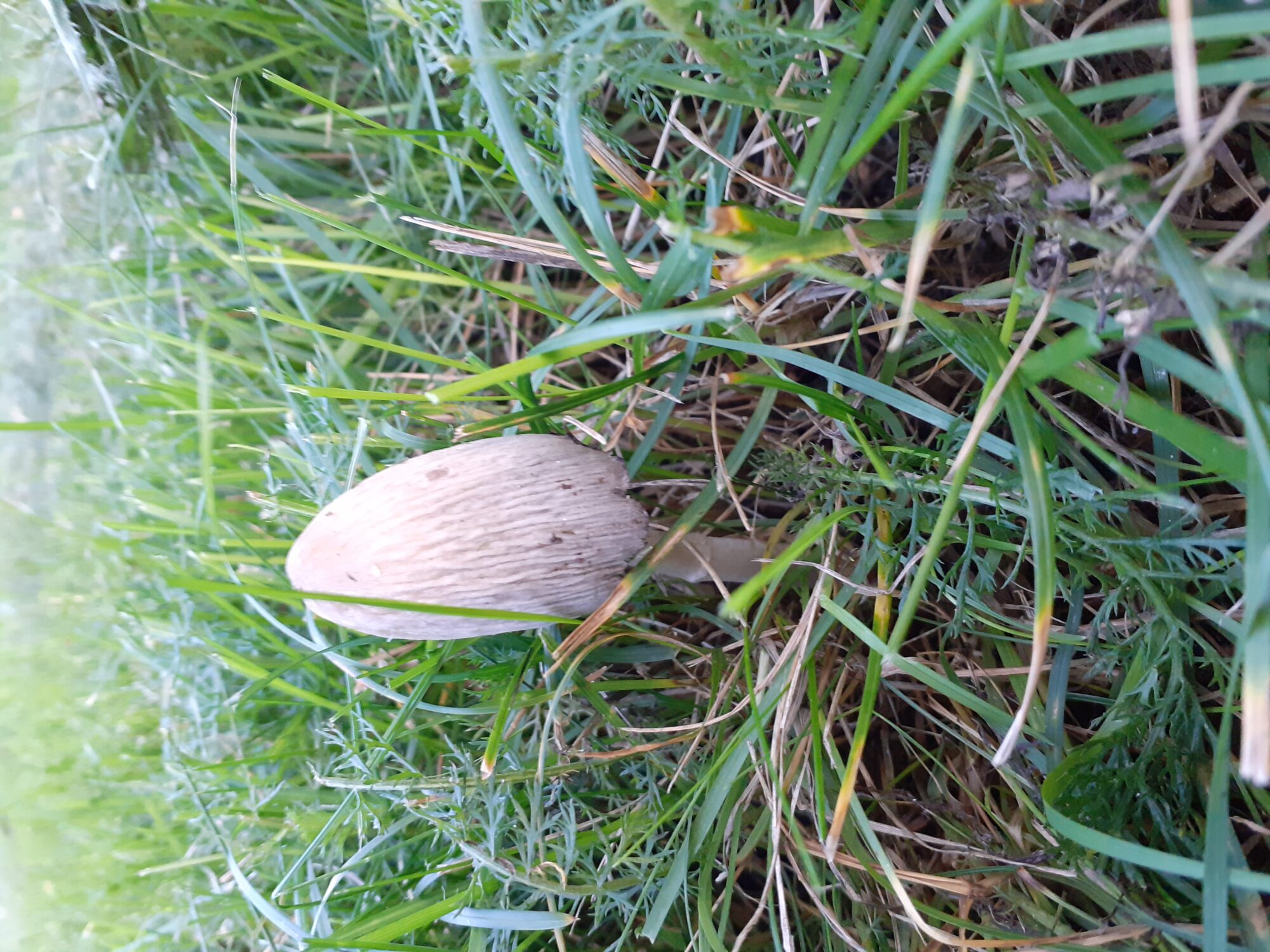 Valokuvaaja: Maarit Pietiläinen