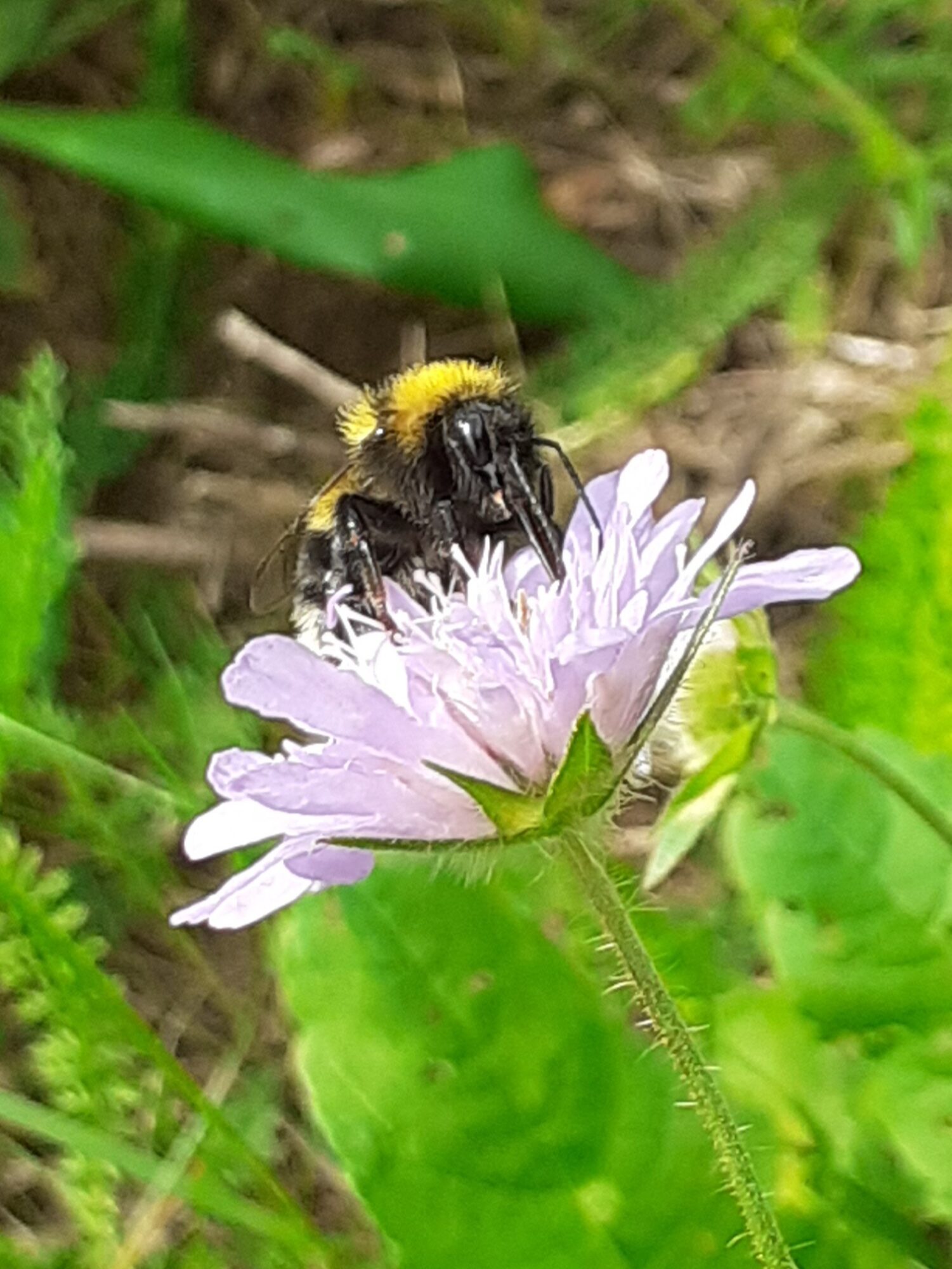 Valokuvaaja: Maarit Pietiläinen