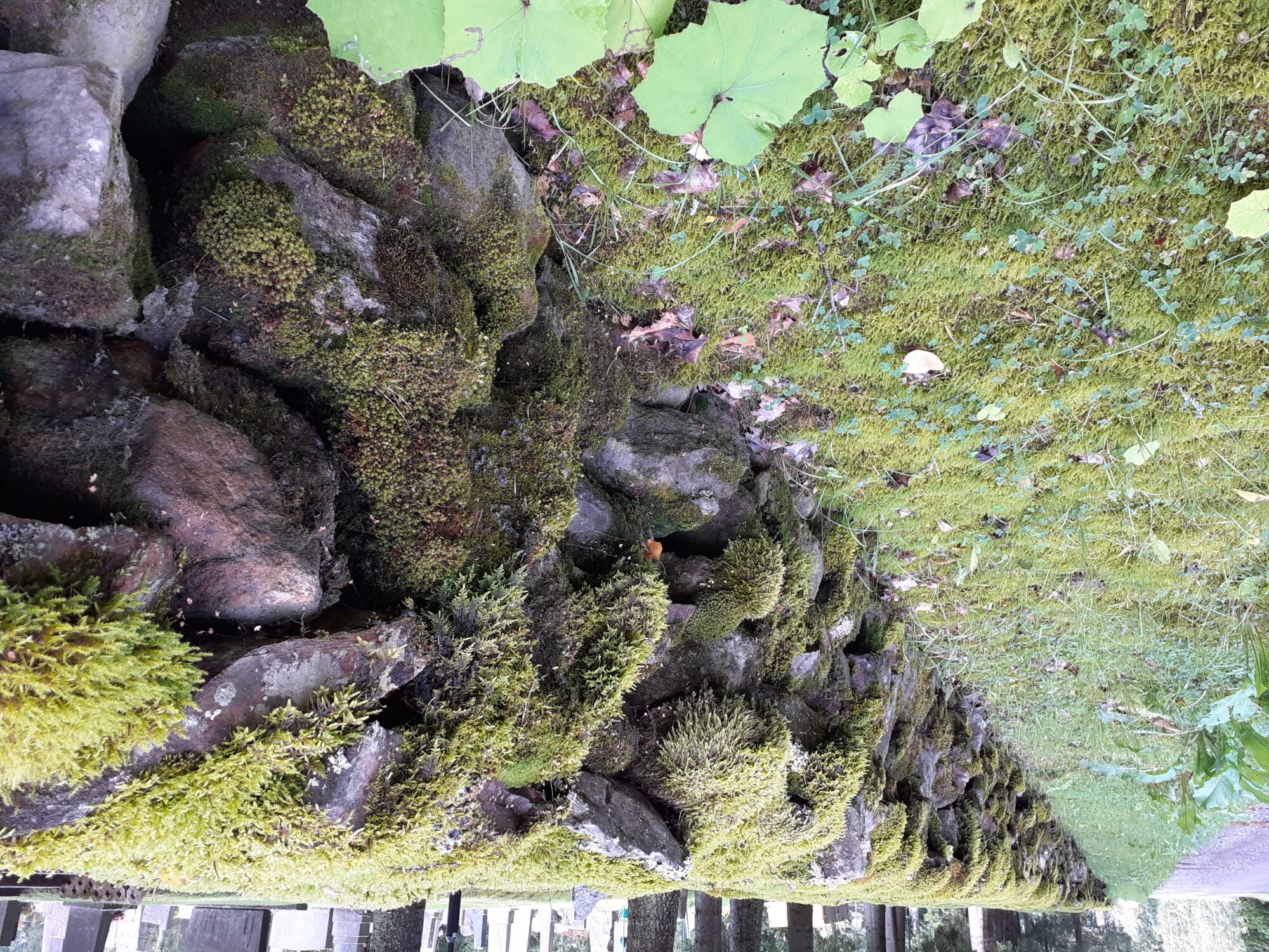 Valokuvaaja: Maarit Pietiläinen