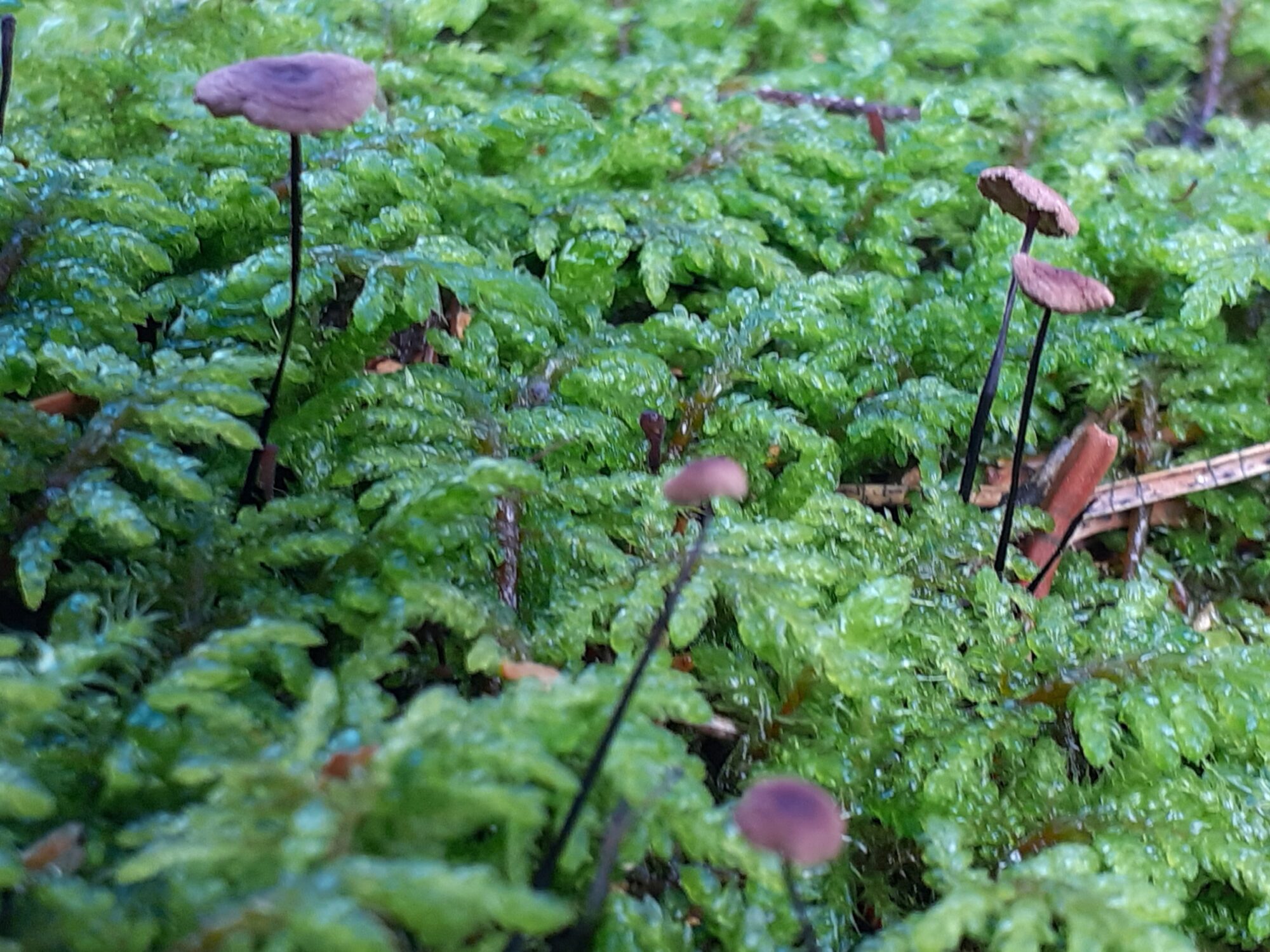 Valokuvaaja: Maarit Pietiläinen