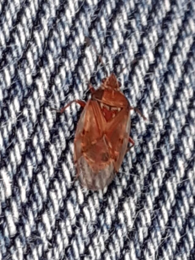 Valokuvaaja: Maarit Pietiläinen