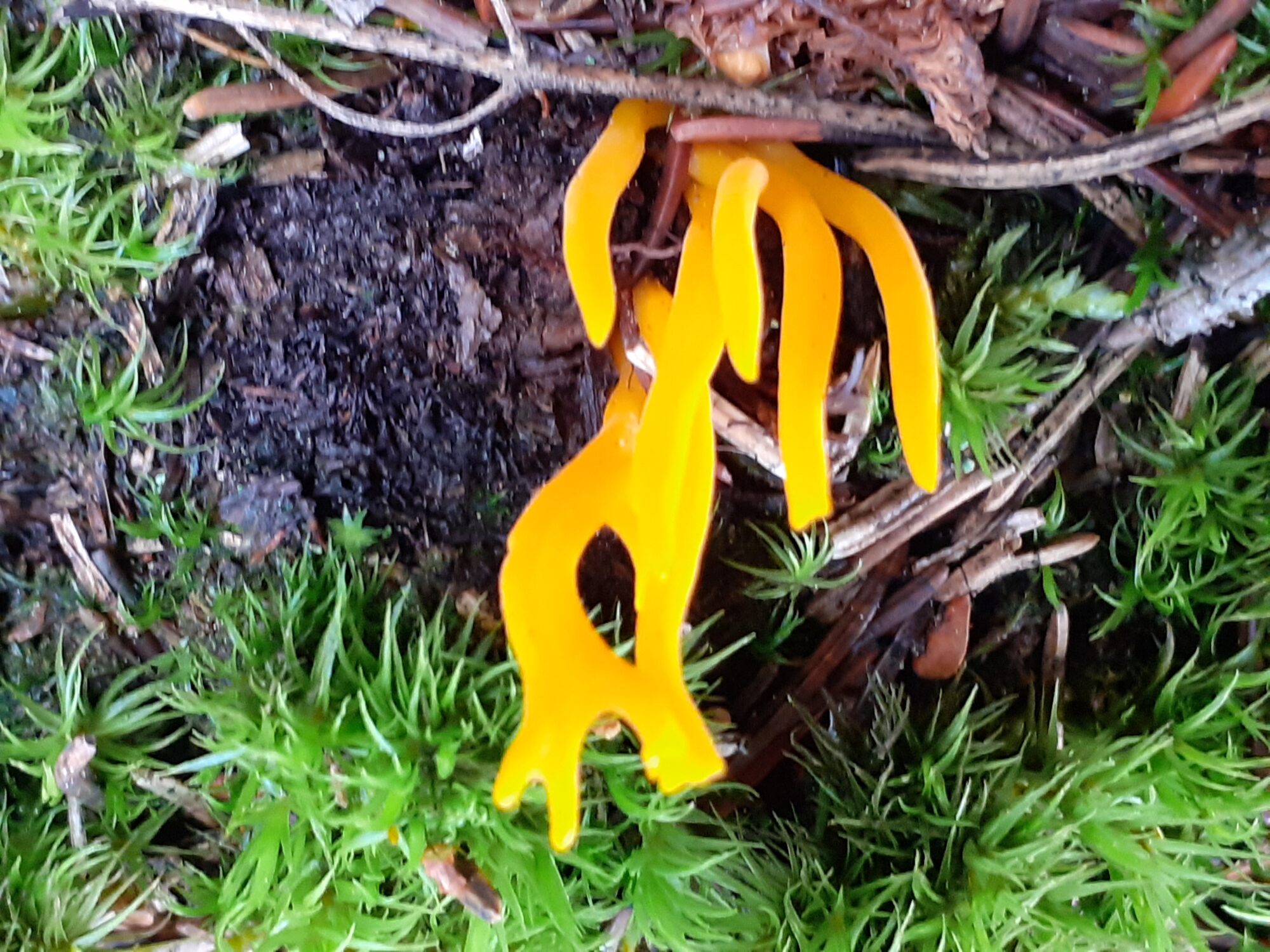 Valokuvaaja: Maarit Pietiläinen