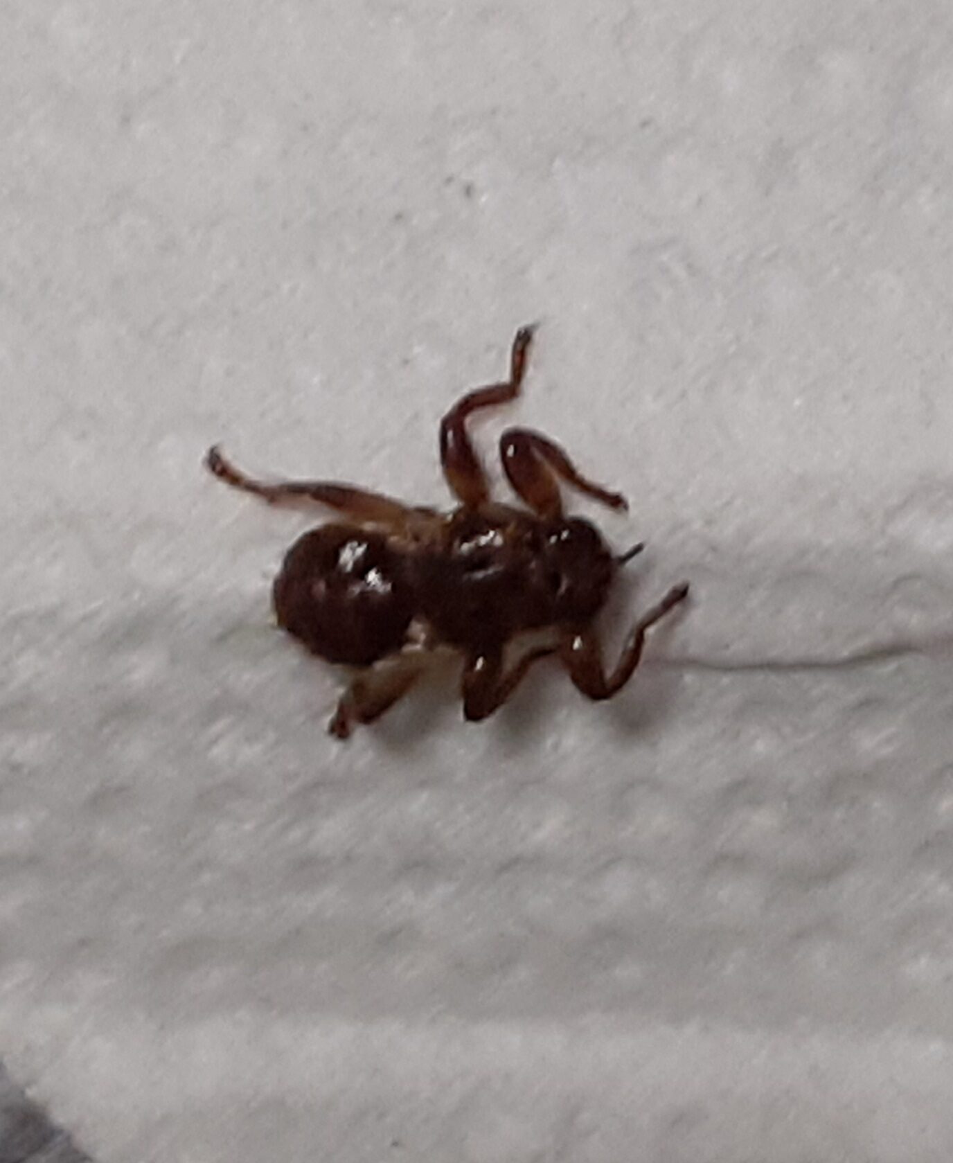 Valokuvaaja: Maarit Pietiläinen