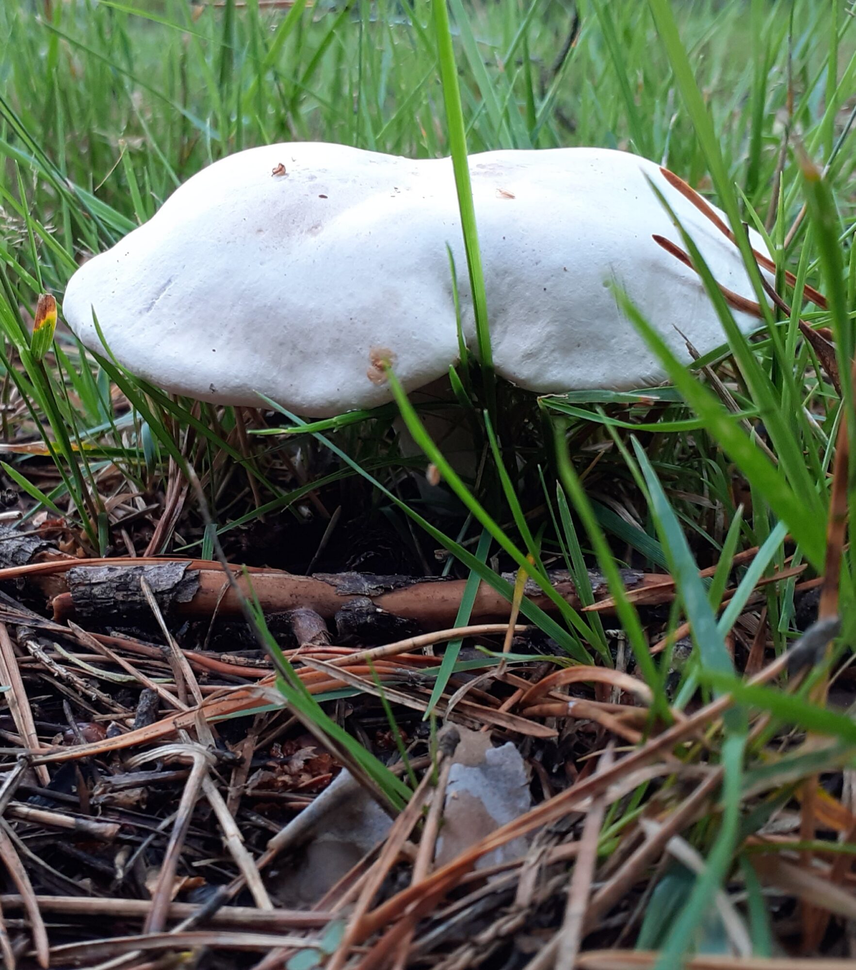 Valokuvaaja: Maarit Pietiläinen