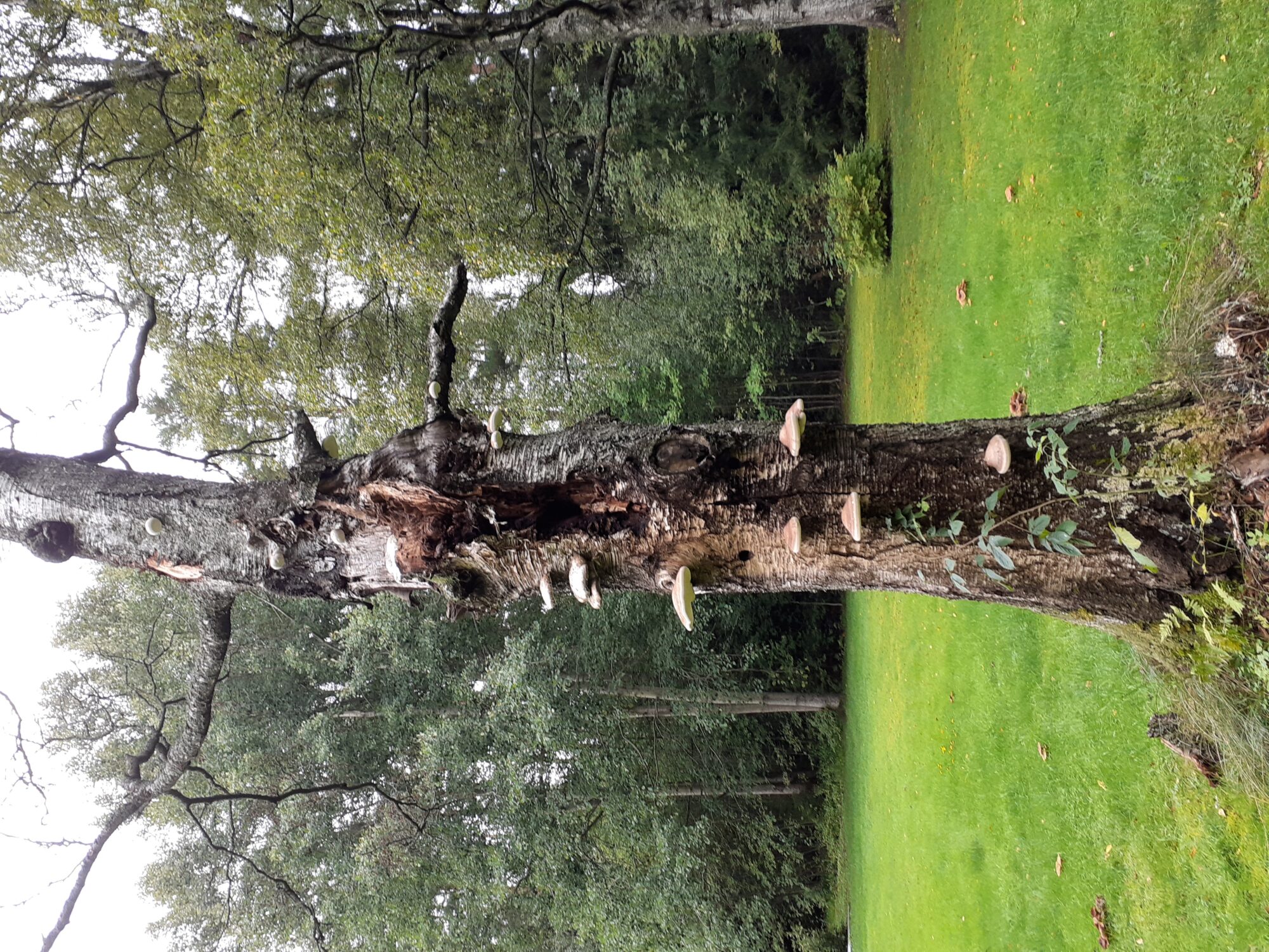 Valokuvaaja: Maarit Pietiläinen Valokuvaaja: Maarit Pietiläinen