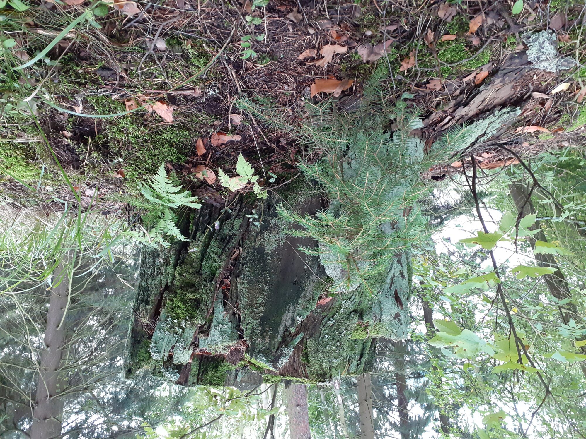 Valokuvaaja: Maarit Pietiläinen