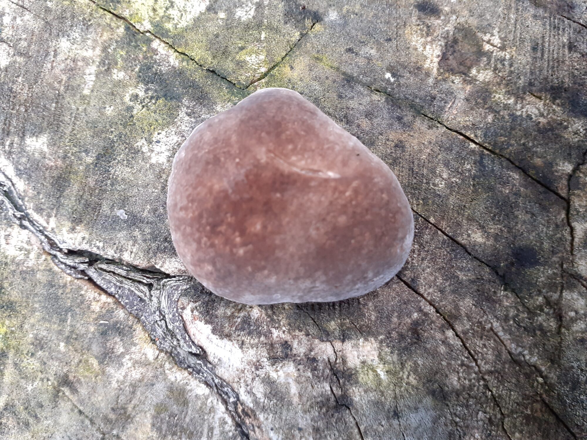 Valokuvaaja: Maarit Pietiläinen