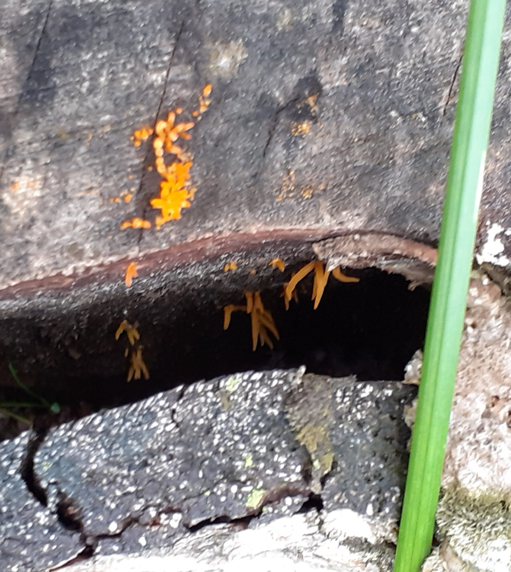 Valokuvaaja: Maarit Pietiläinen