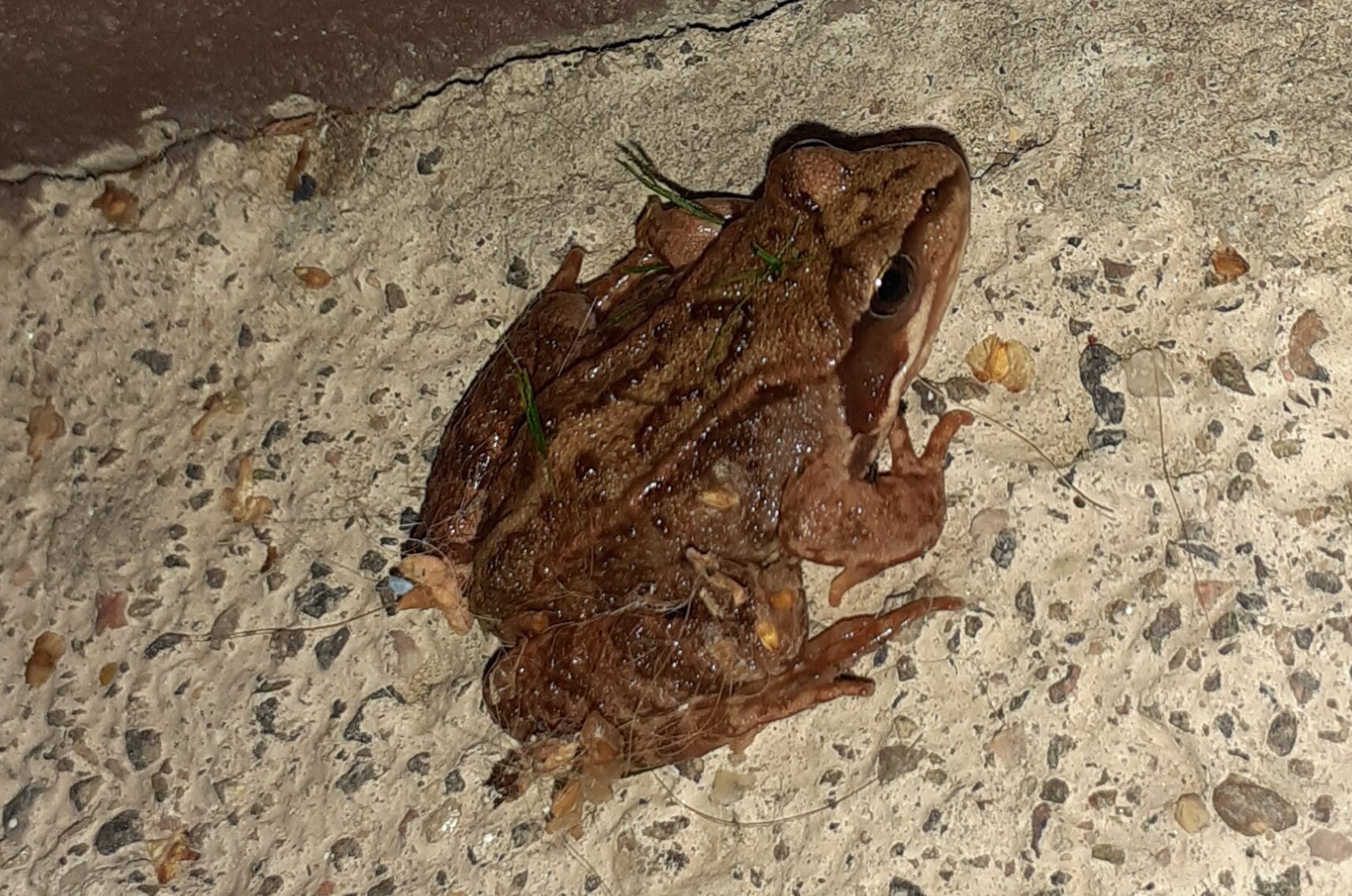 Valokuvaaja: Maarit Pietiläinen