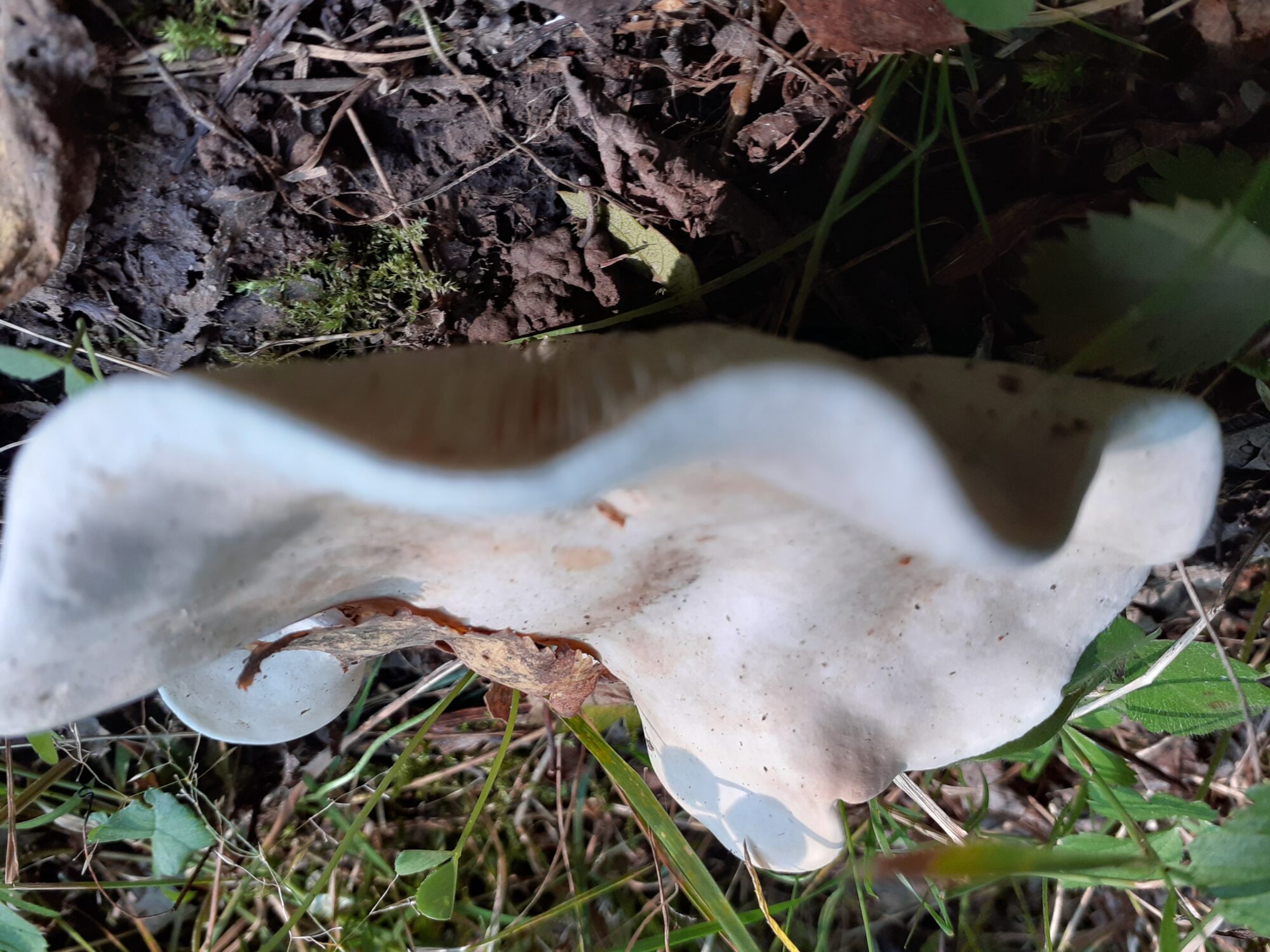 Valokuvaaja: Maarit Pietiläinen