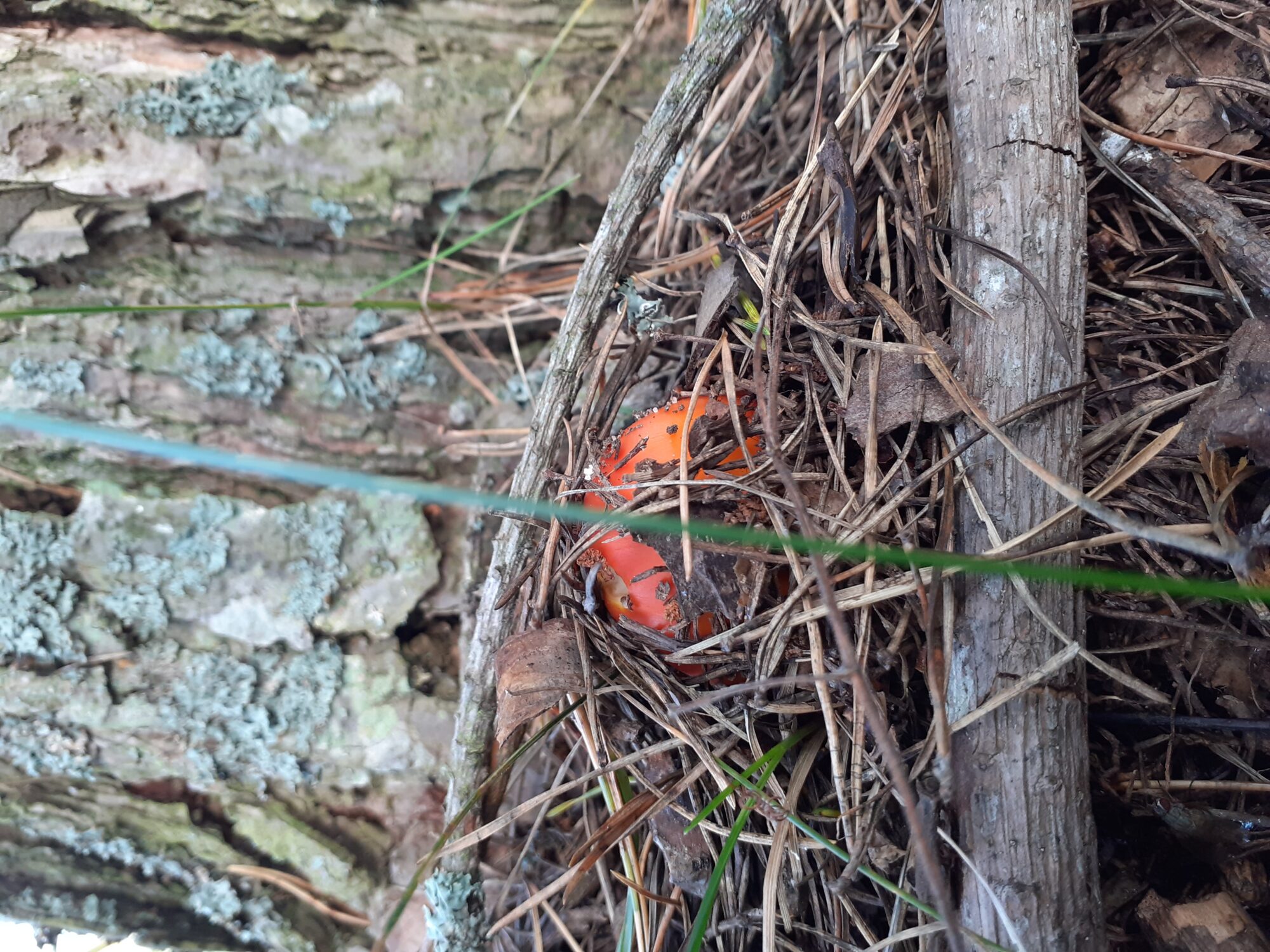 Valokuvaaja: Maarit Pietiläinen