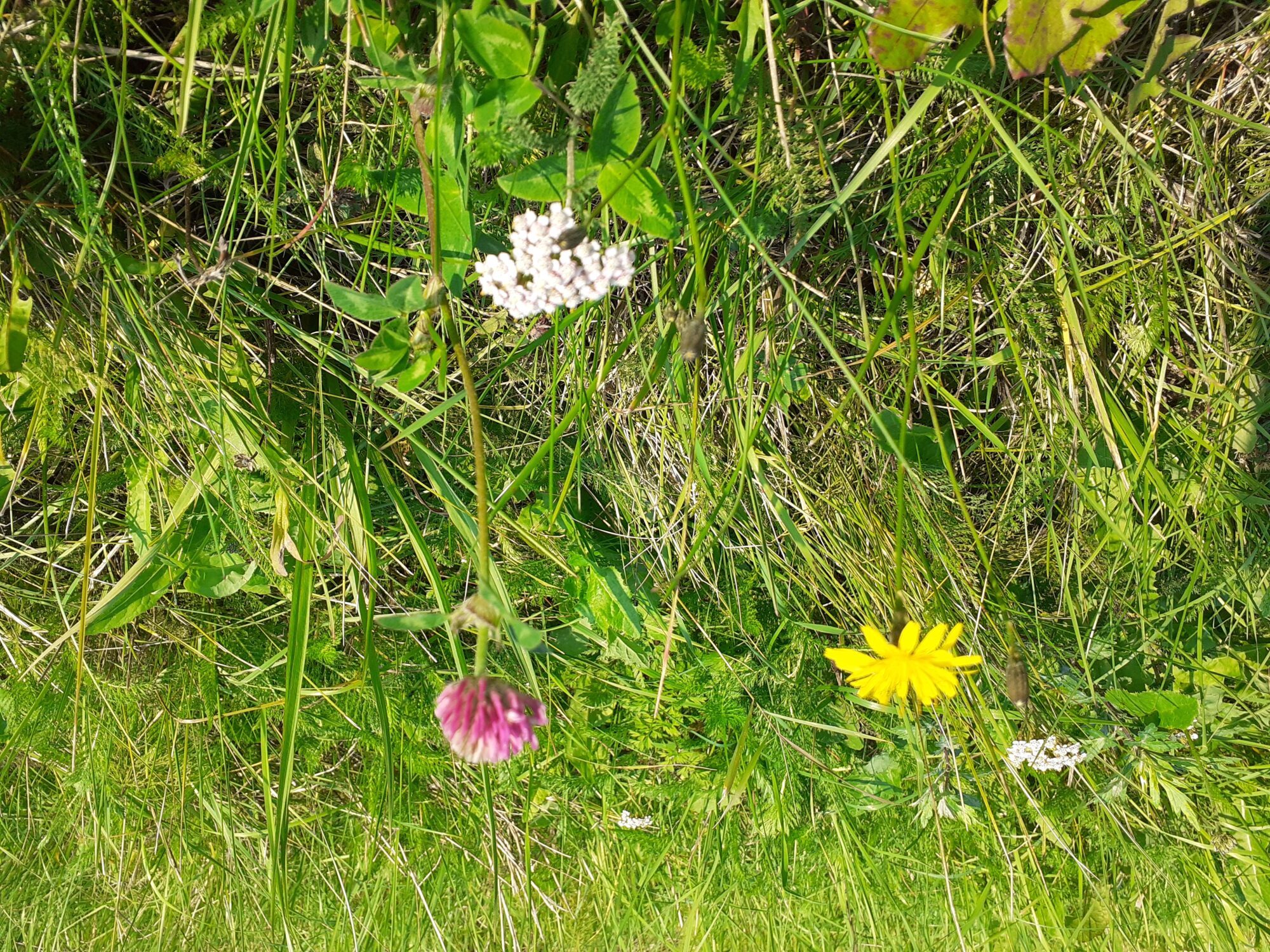 Valokuvaaja: Maarit Pietiläinen