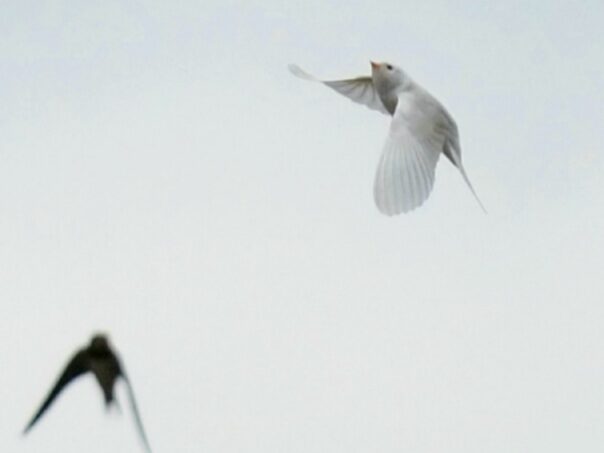 Valokuvaaja: Teppo Savolainen