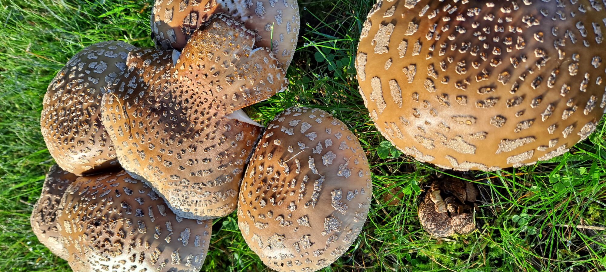 Valokuvaaja: Raisa Vuokola