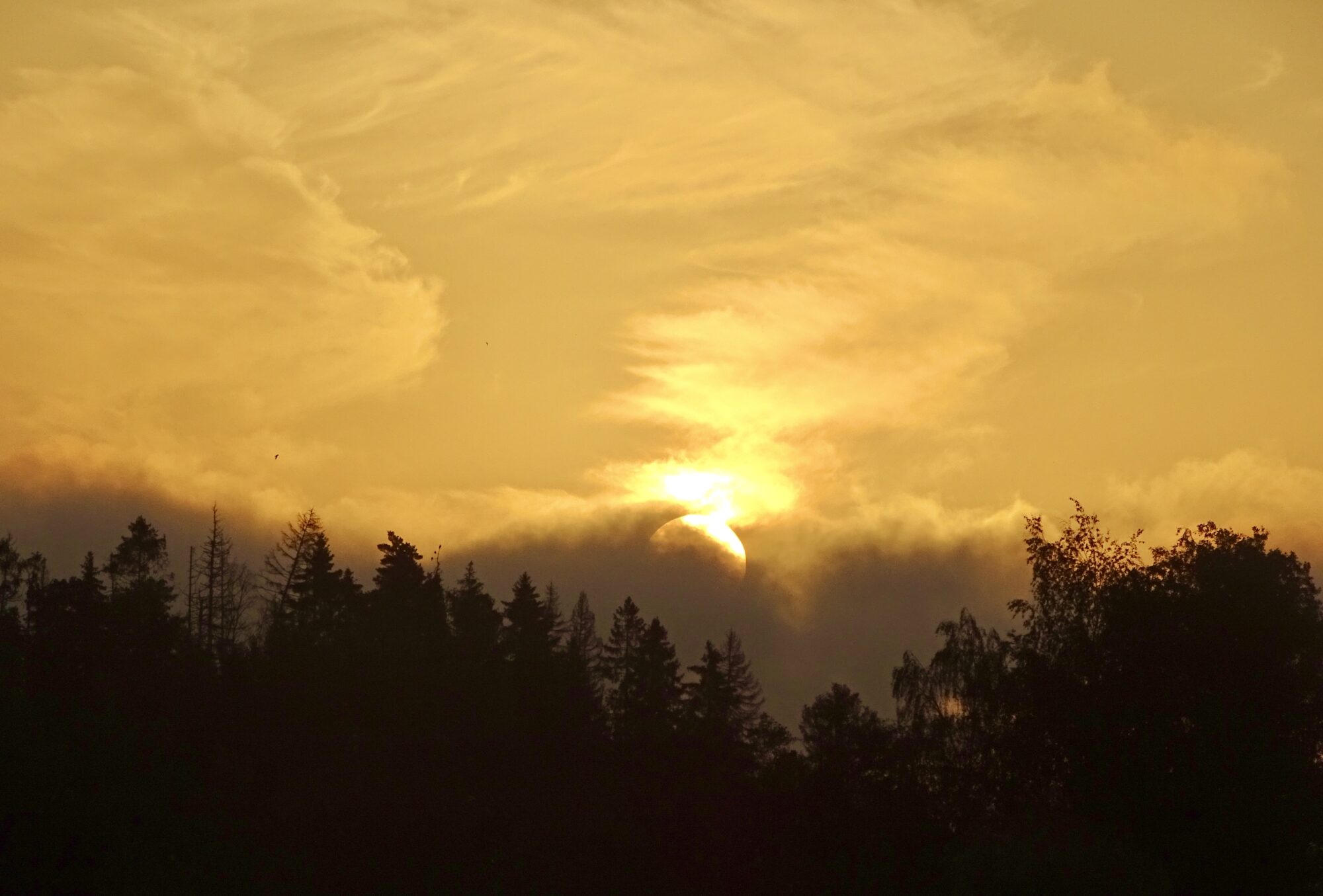 Valokuvaaja: Juhani Peltonen