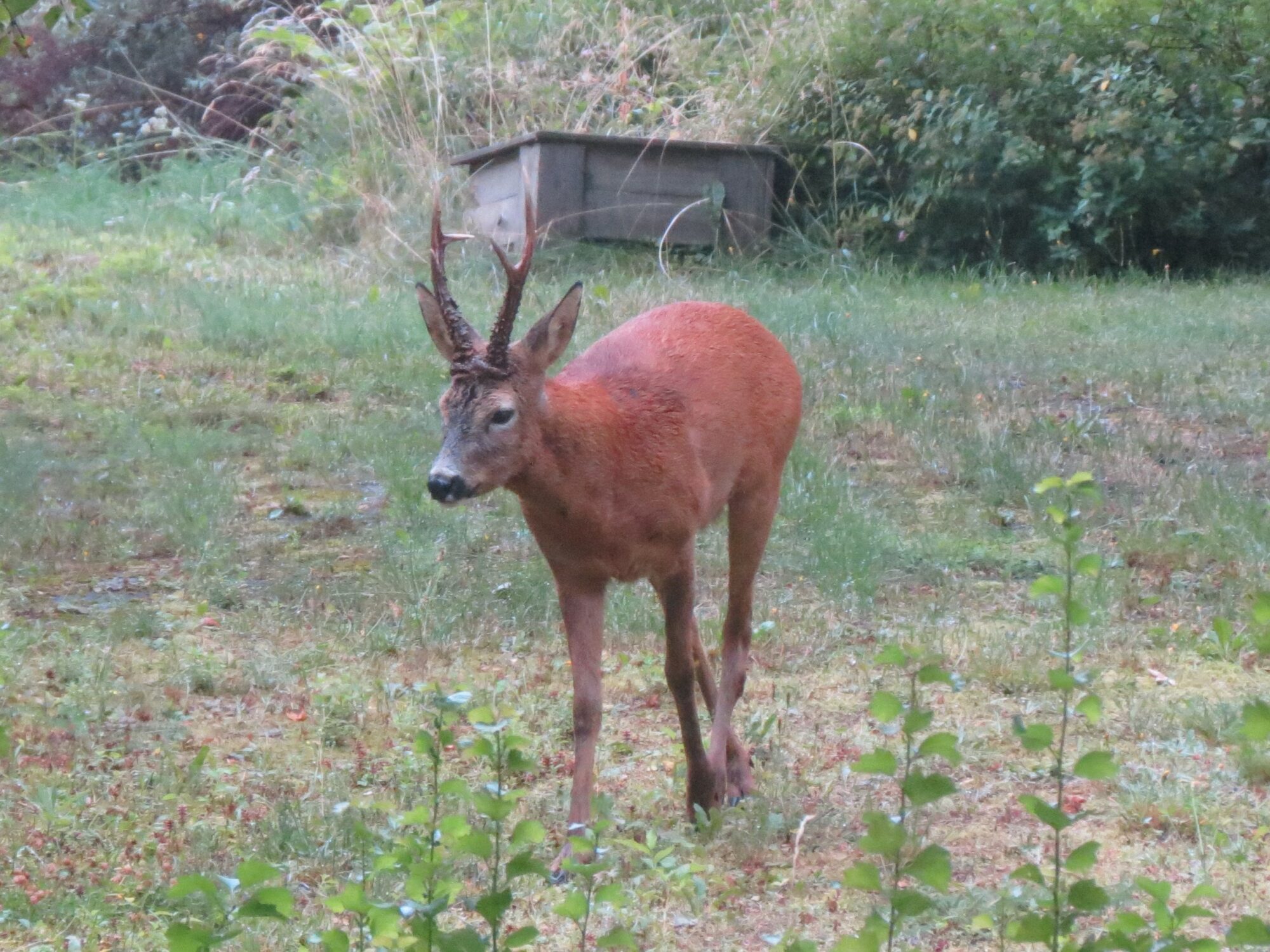 Valokuvaaja: Elina Vuorimaa-Laukkanen