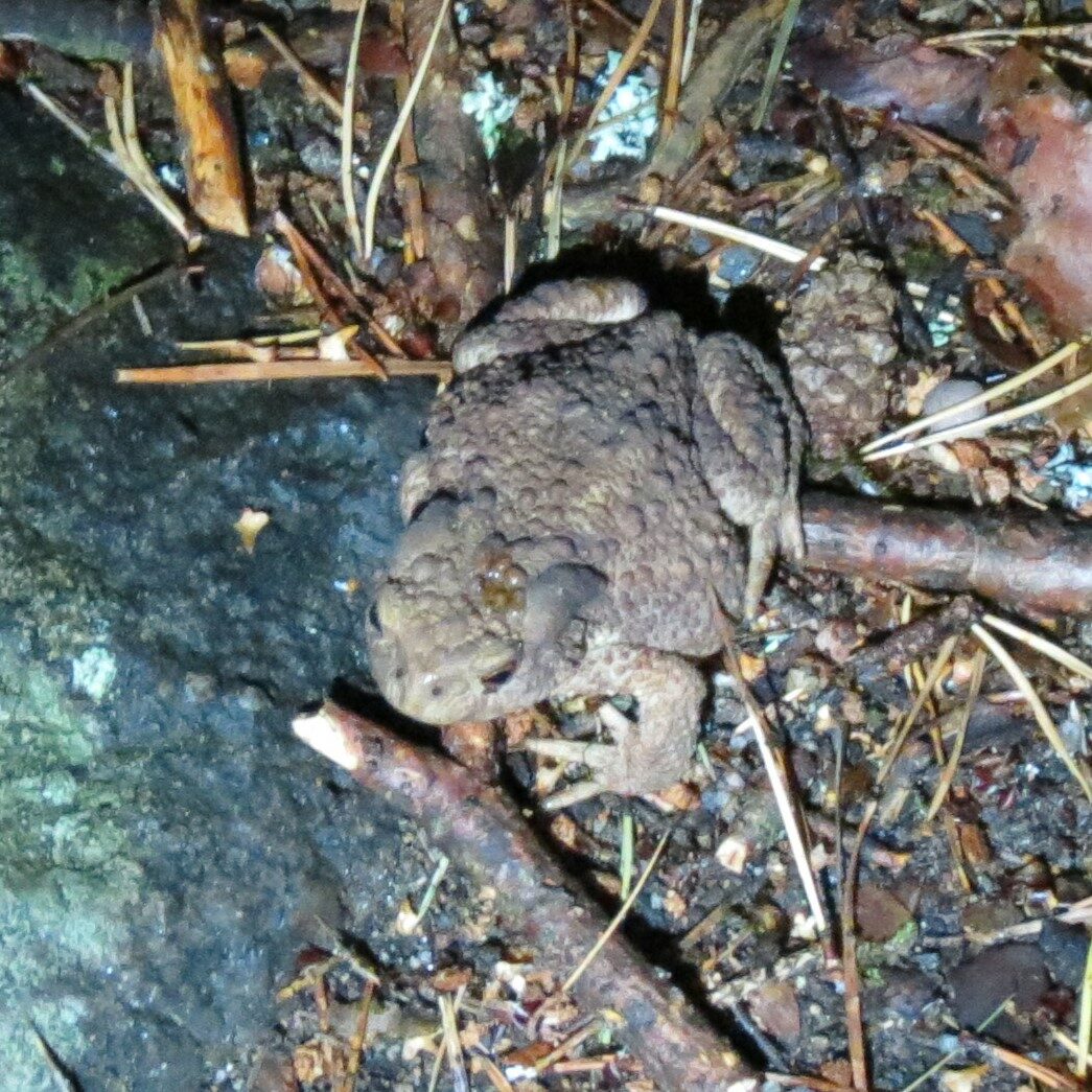 Valokuvaaja: Elina Vuorimaa-Laukkanen