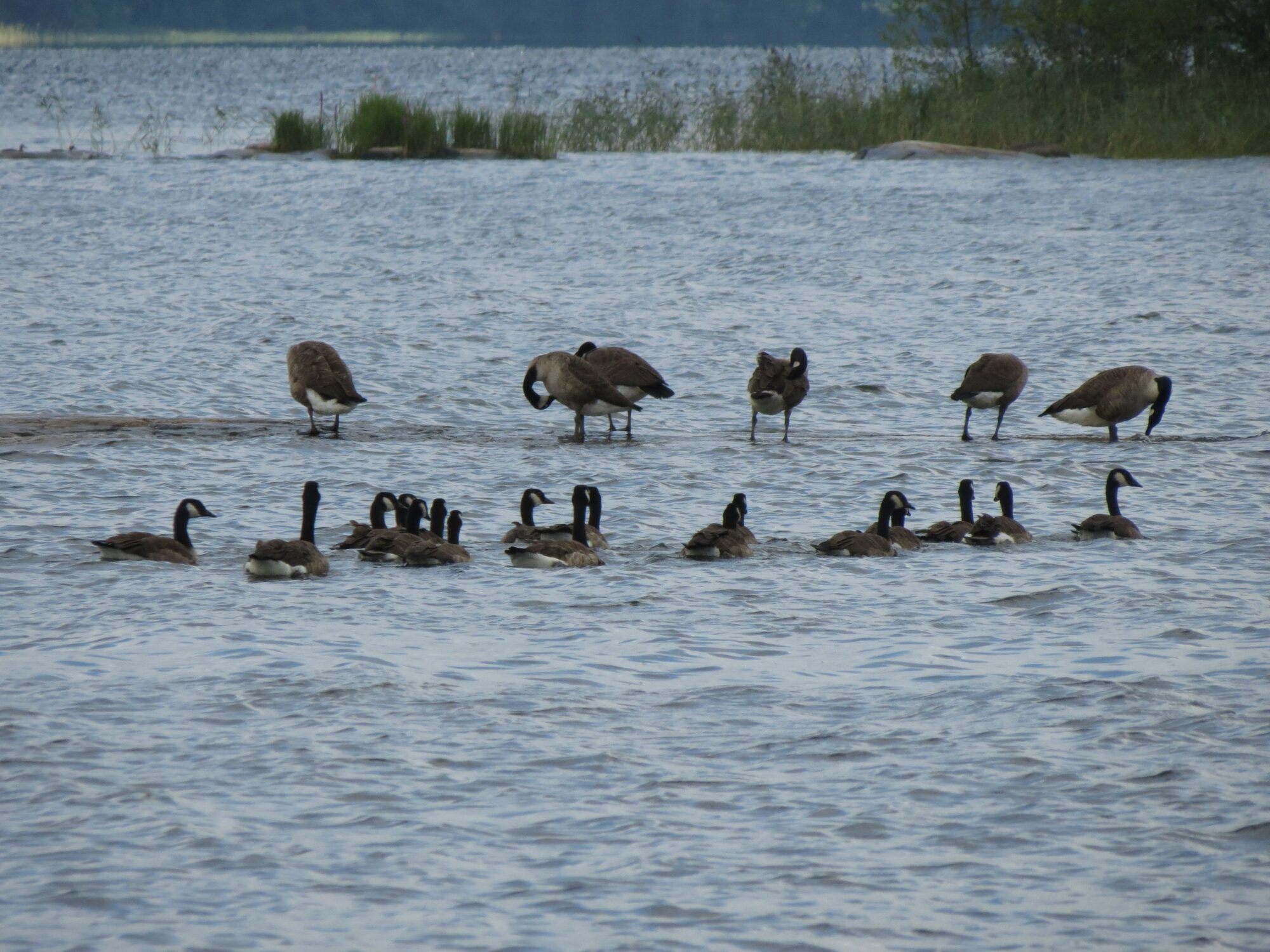 Valokuvaaja: Elina Vuorimaa-Laukkanen