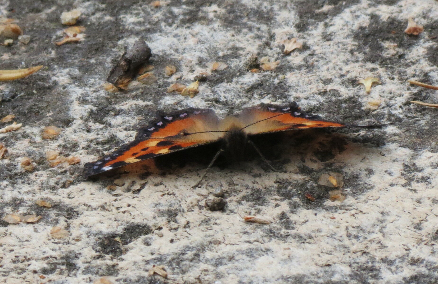 Valokuvaaja: Elina Vuorimaa-Laukkanen