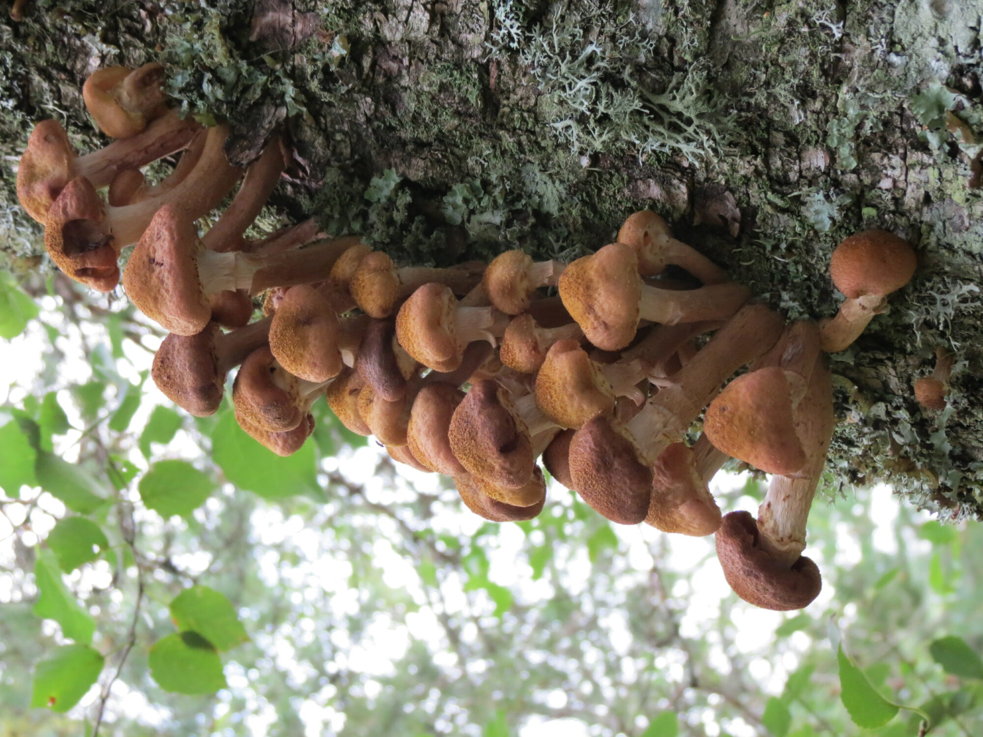 Valokuvaaja: Elina Vuorimaa-Laukkanen