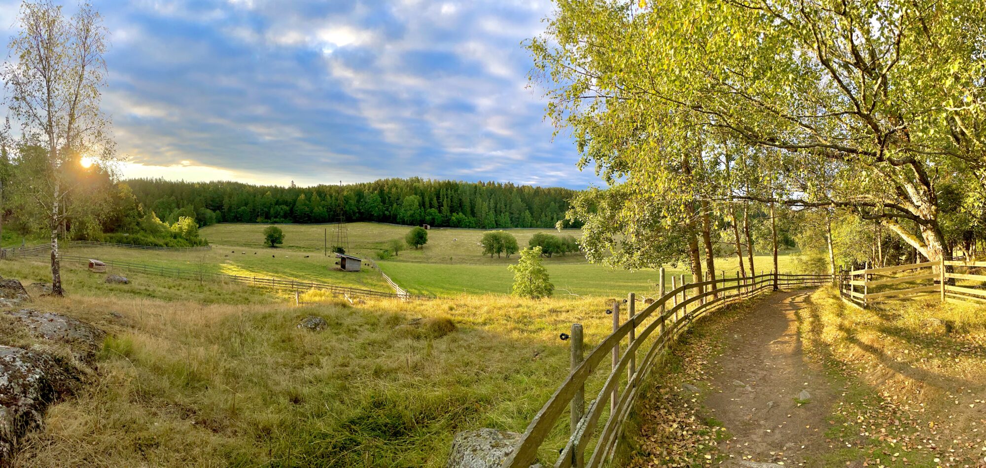 Valokuvaaja: Juhani Peltonen