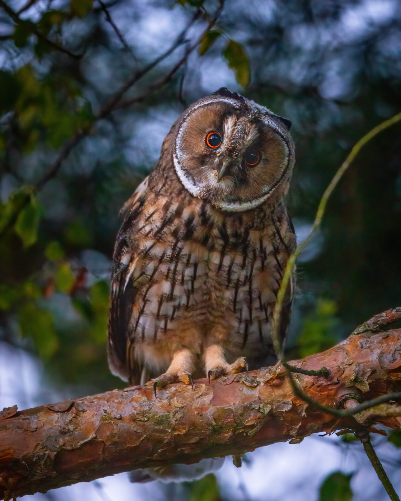 Valokuvaaja: Jukka Risikko