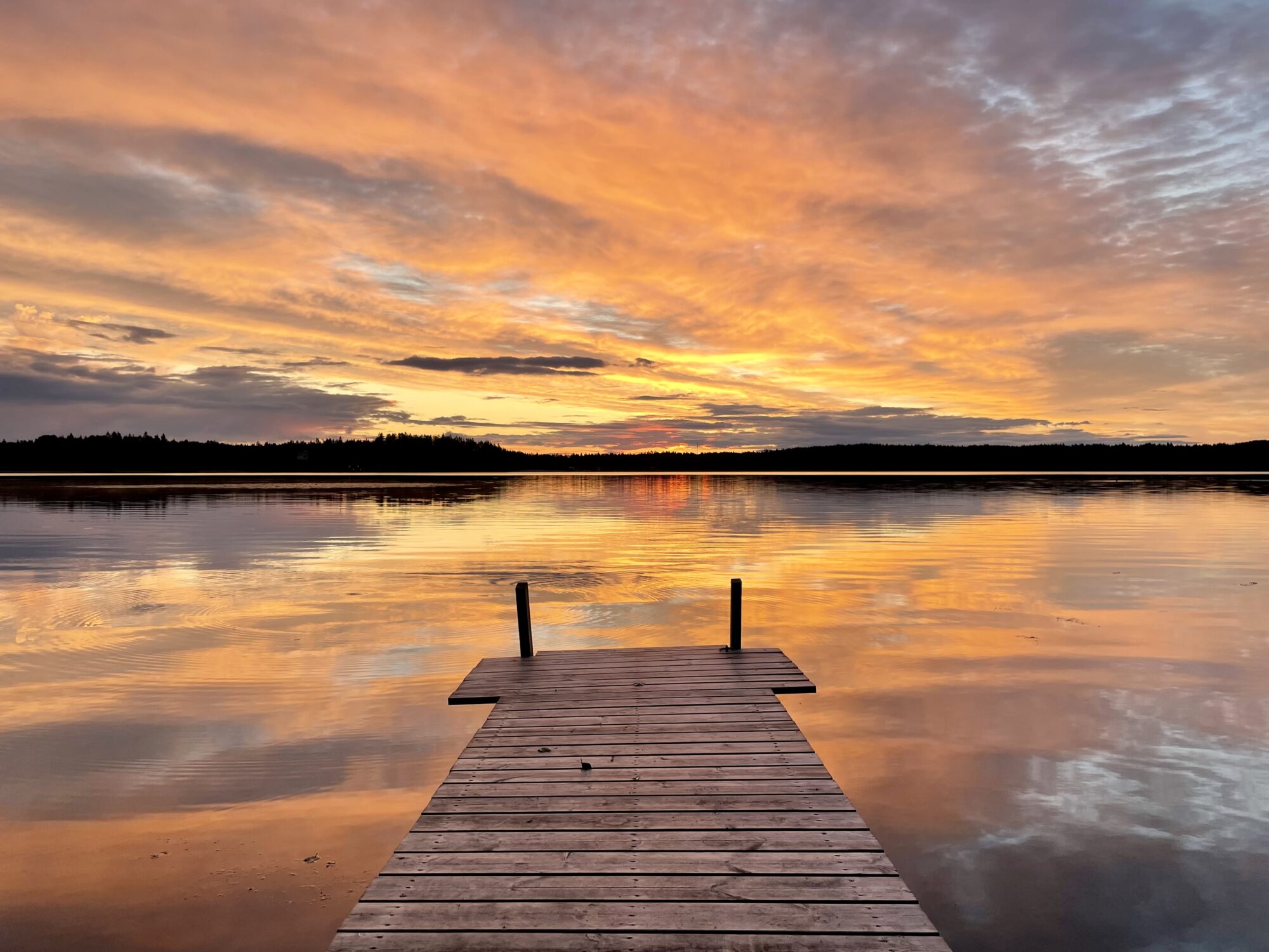 Valokuvaaja: Juhani Peltonen