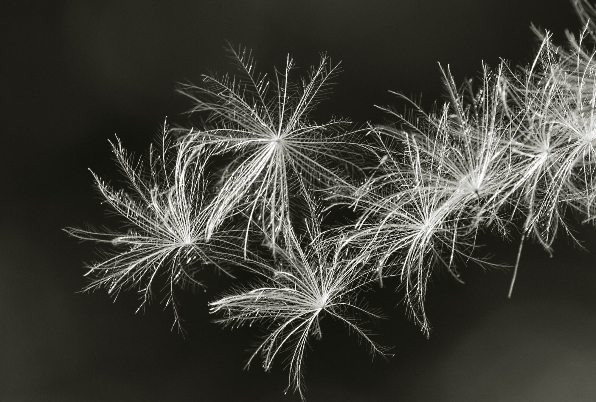 Valokuvaaja: Ritva Nieminen