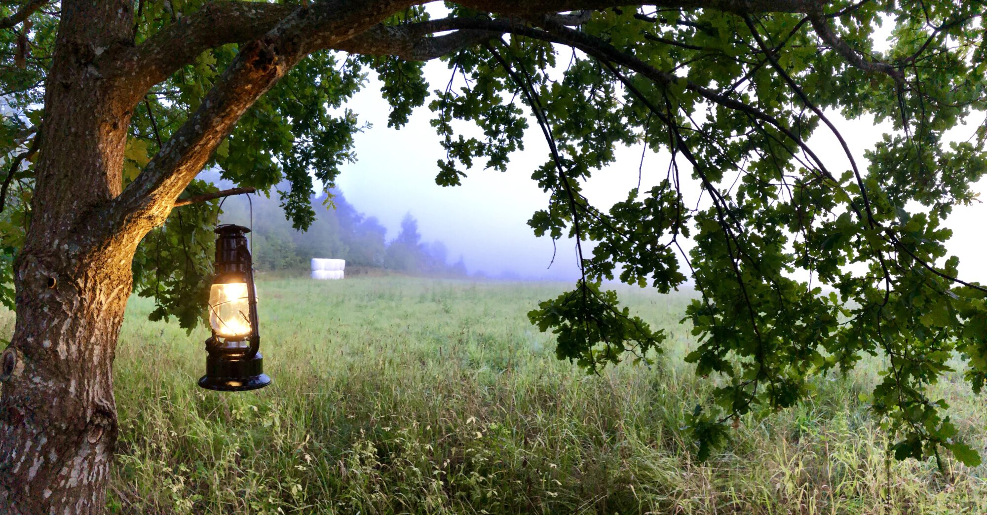 Valokuvaaja: Juhani Peltonen