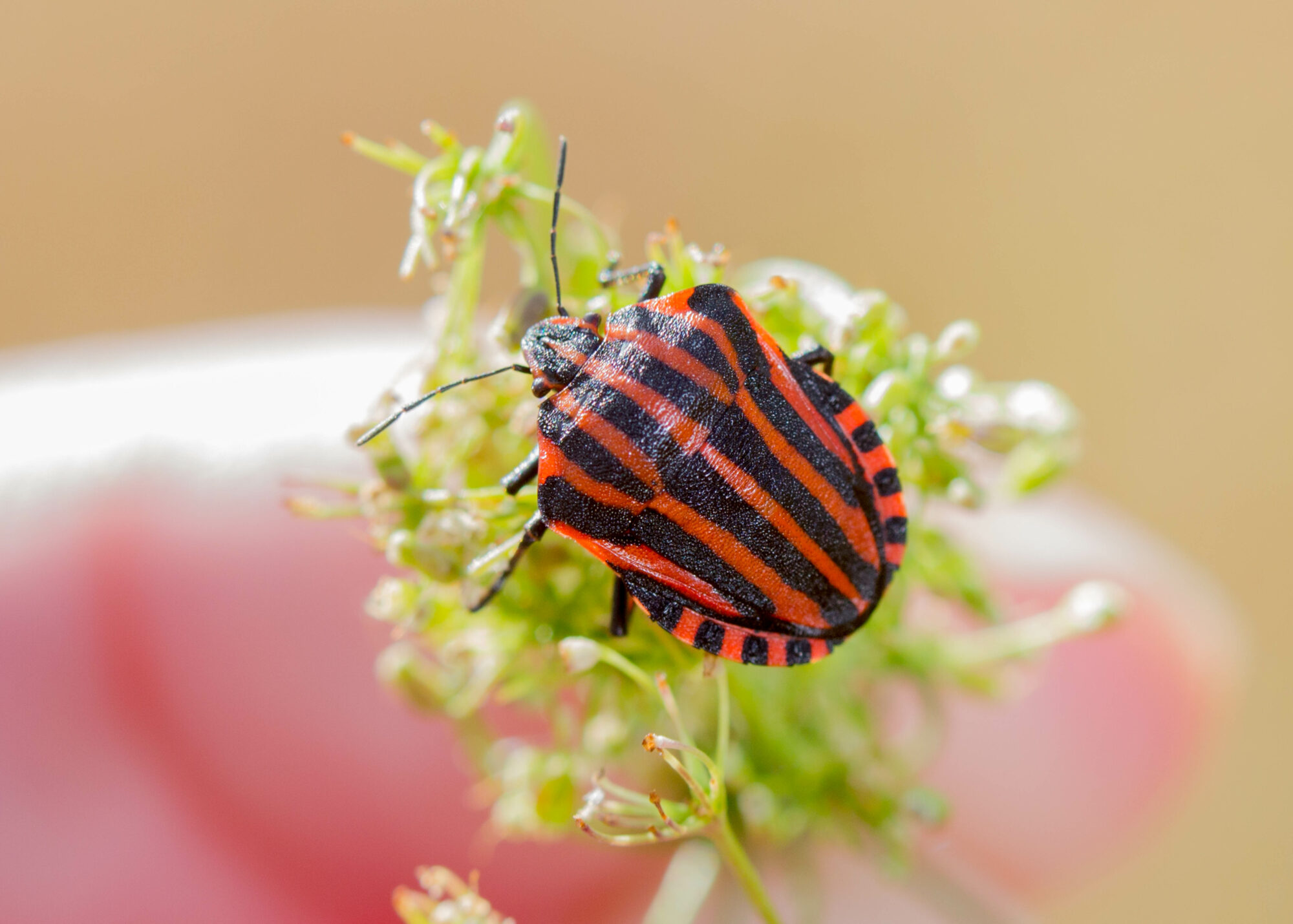 Valokuvaaja: Markku Salonen