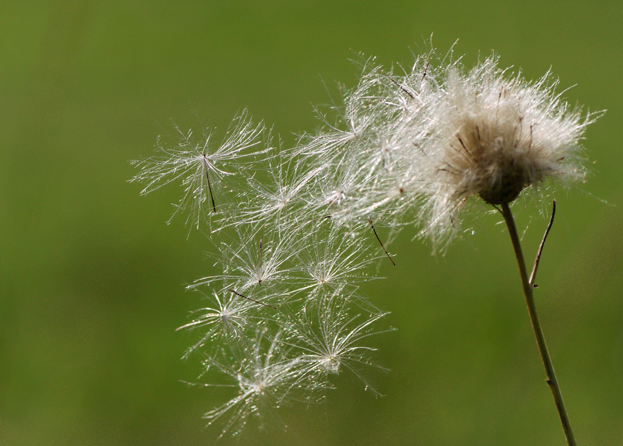 Valokuvaaja: Ritva Nieminen