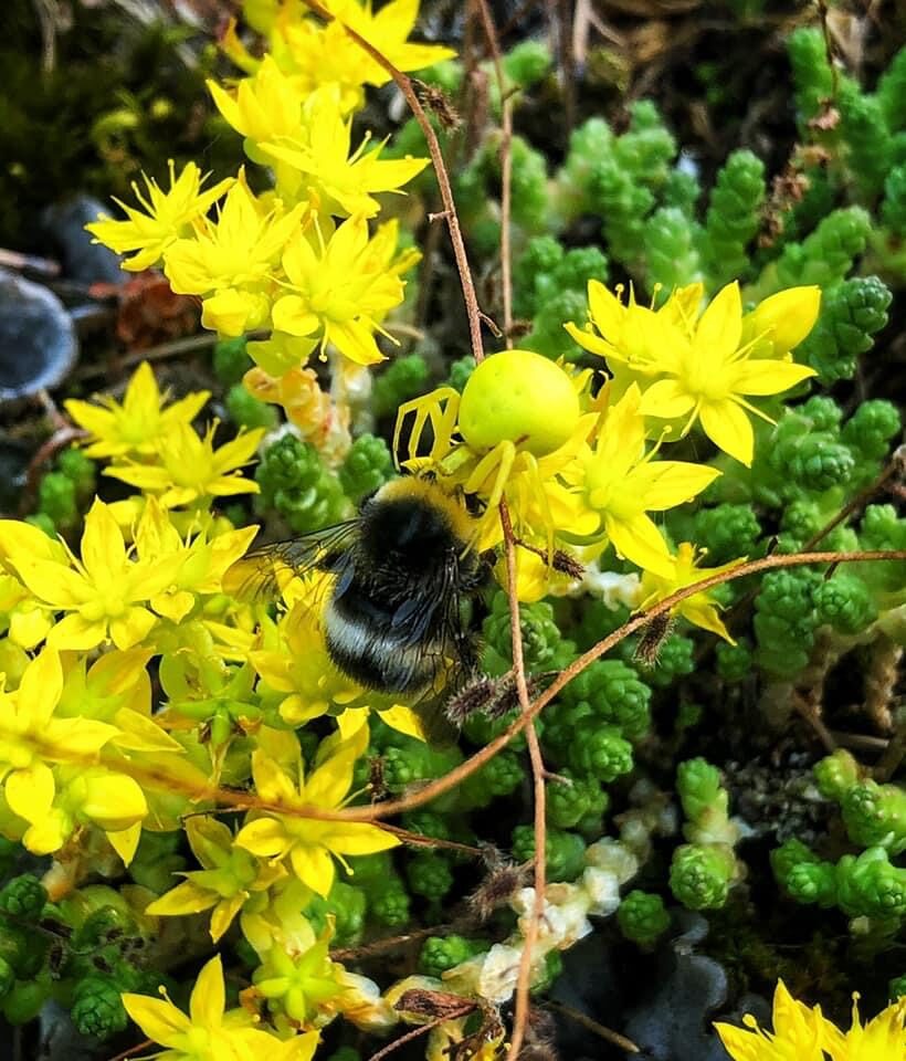 Valokuvaaja: Kristina Björknäs