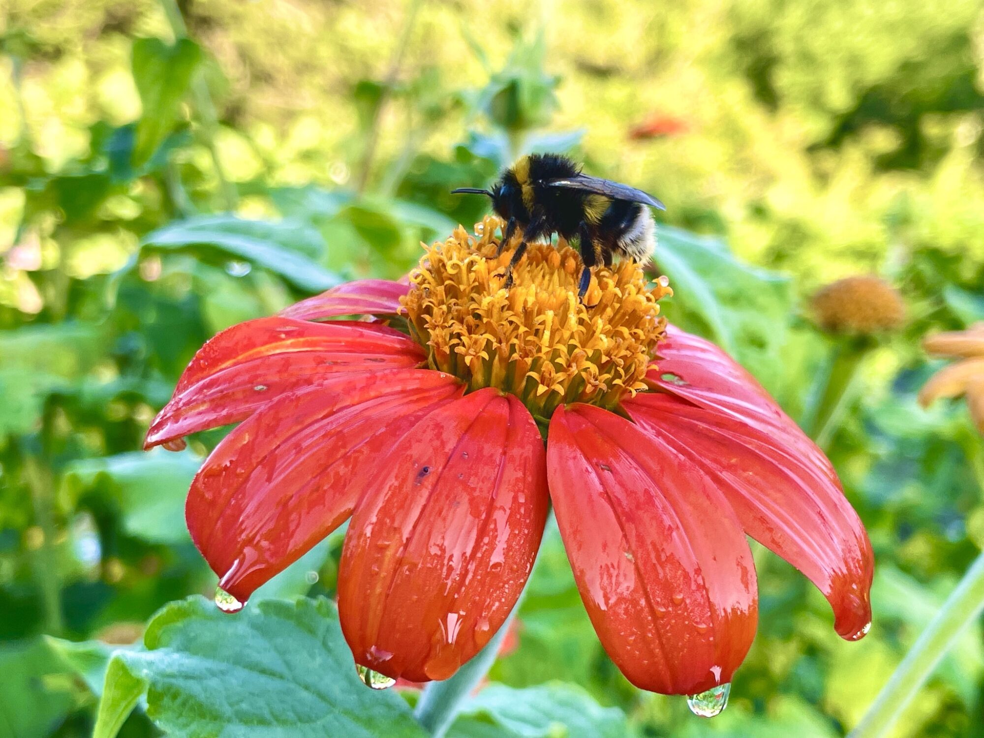 Valokuvaaja: Juhani Peltonen