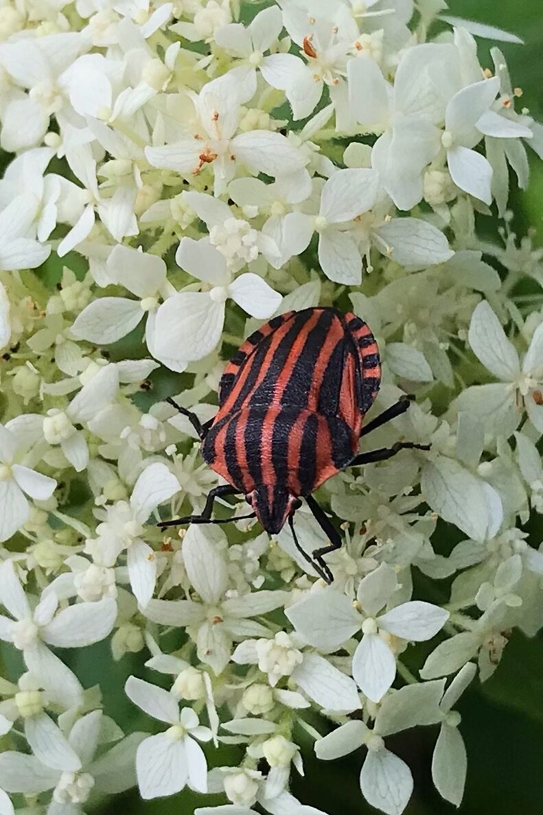 Valokuvaaja: Riitta Tokola