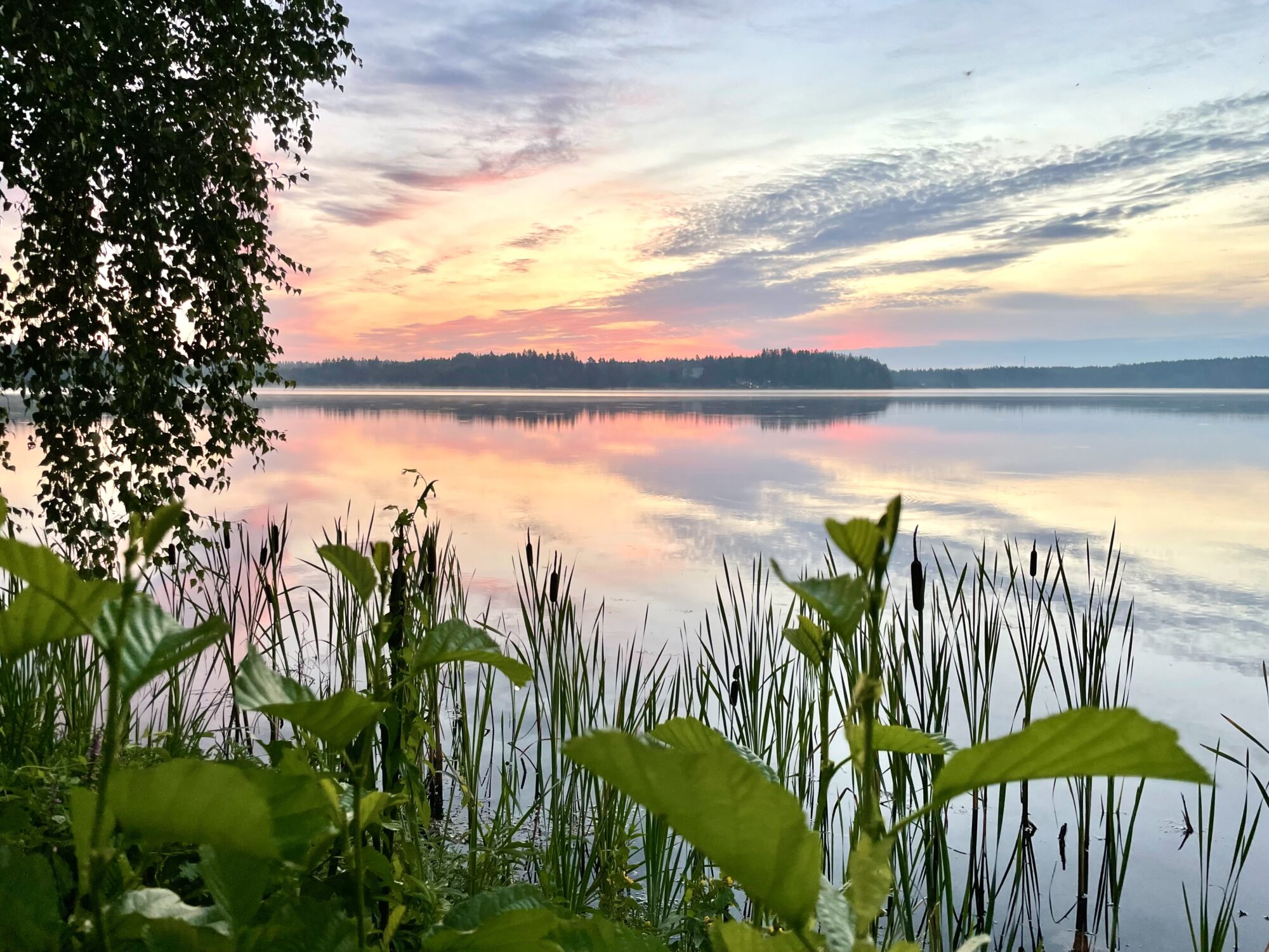 Valokuvaaja: Juhani Peltonen