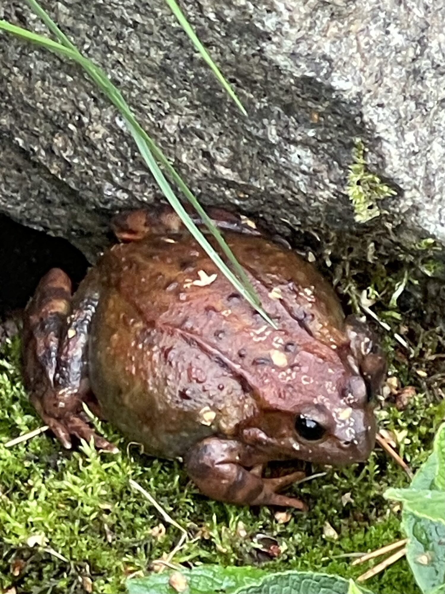 Valokuvaaja: Maarit Vatanen