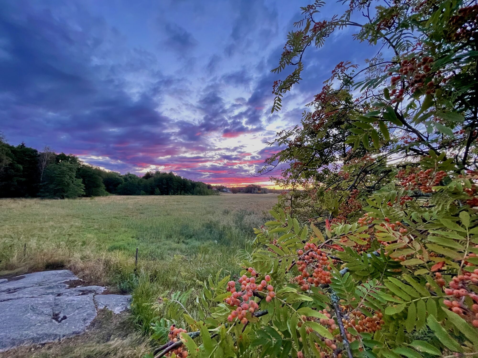 Valokuvaaja: juhani Peltonen