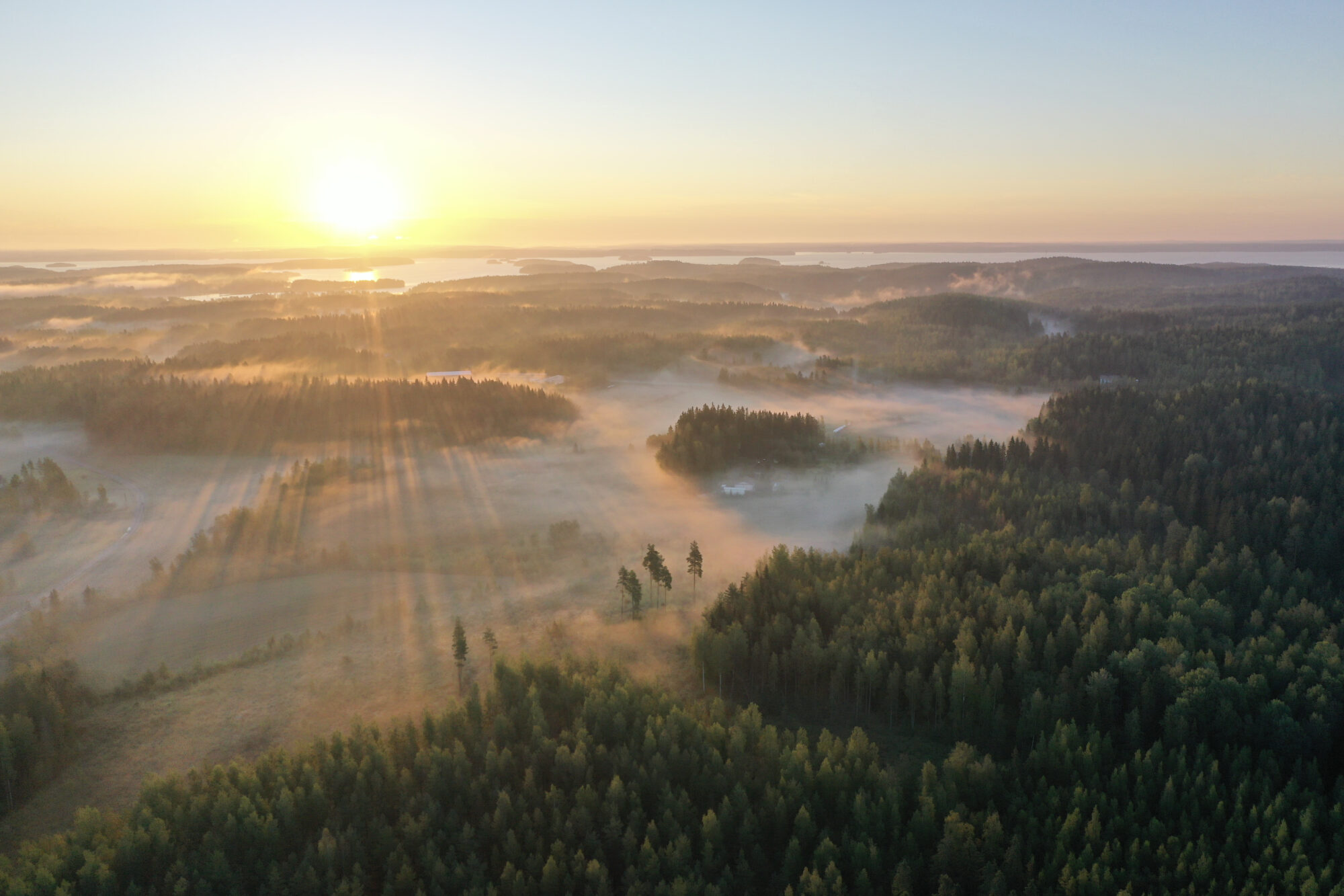 Valokuvaaja: Ari Branthin
