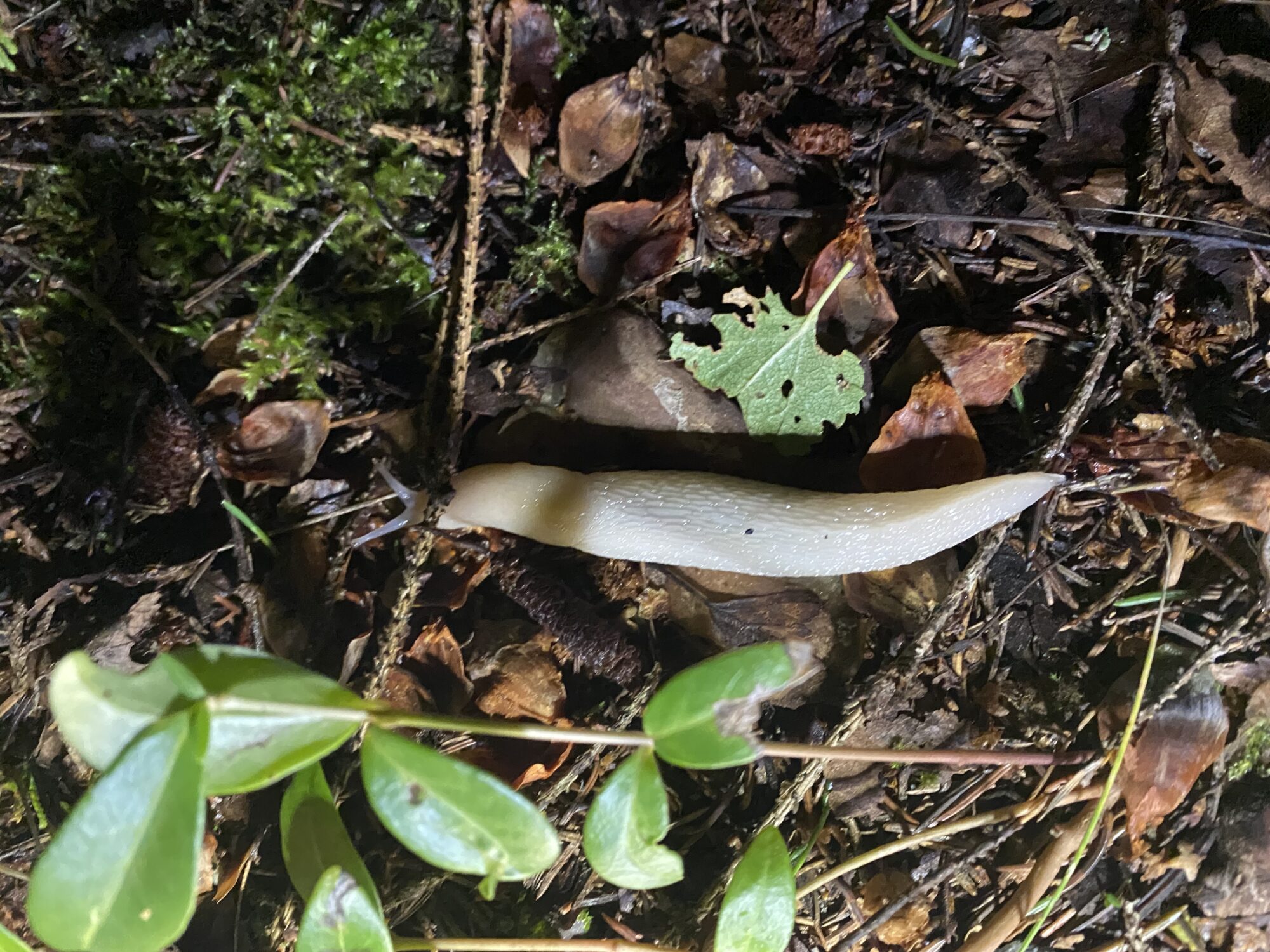 Valokuvaaja: Tarja Jokiniemi