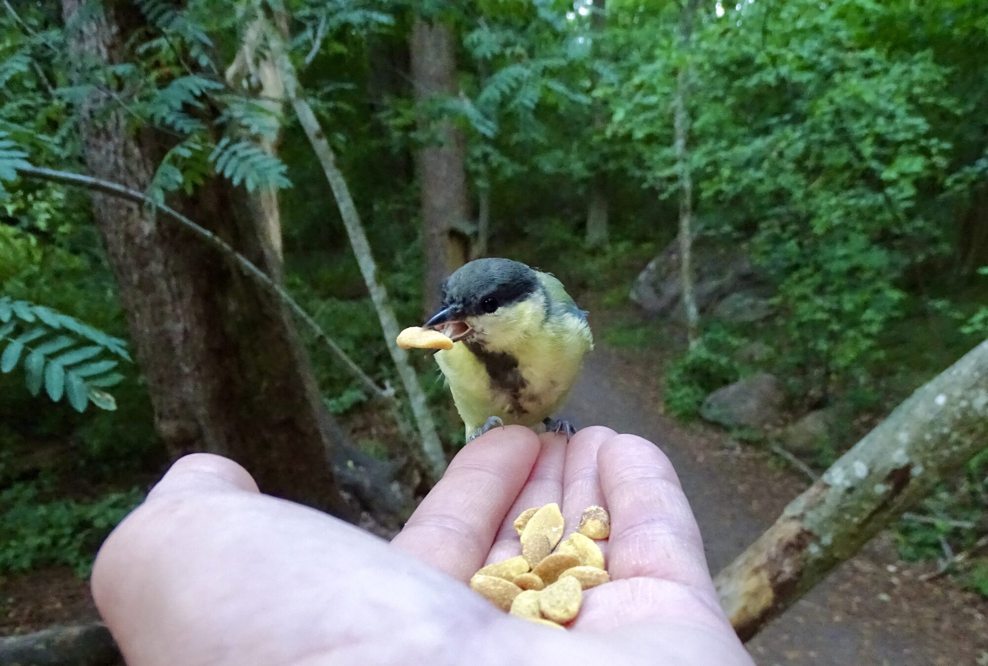 Valokuvaaja: Juhani Peltonen