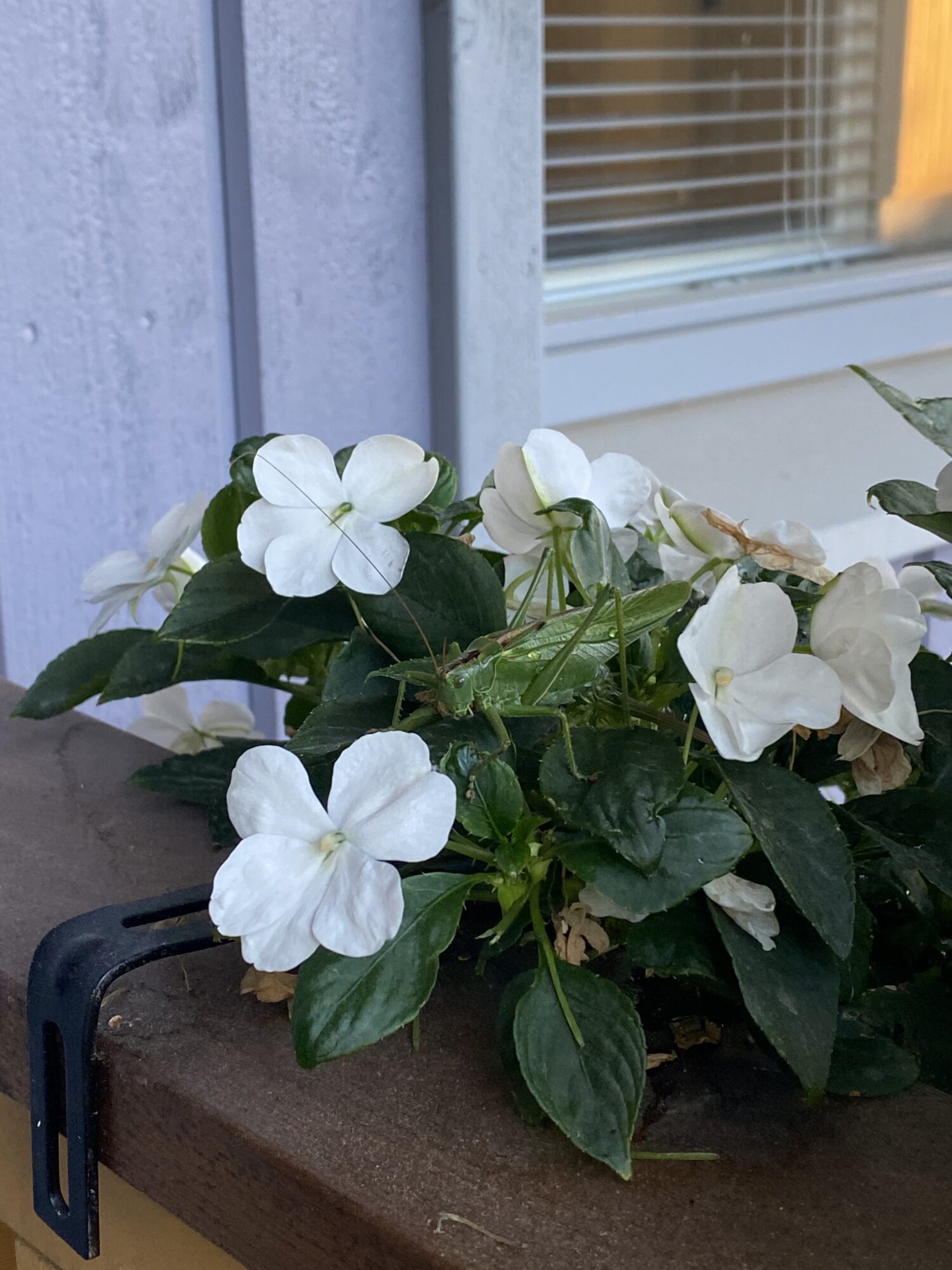 Valokuvaaja: Sanni Koutavirta-Ristimäki