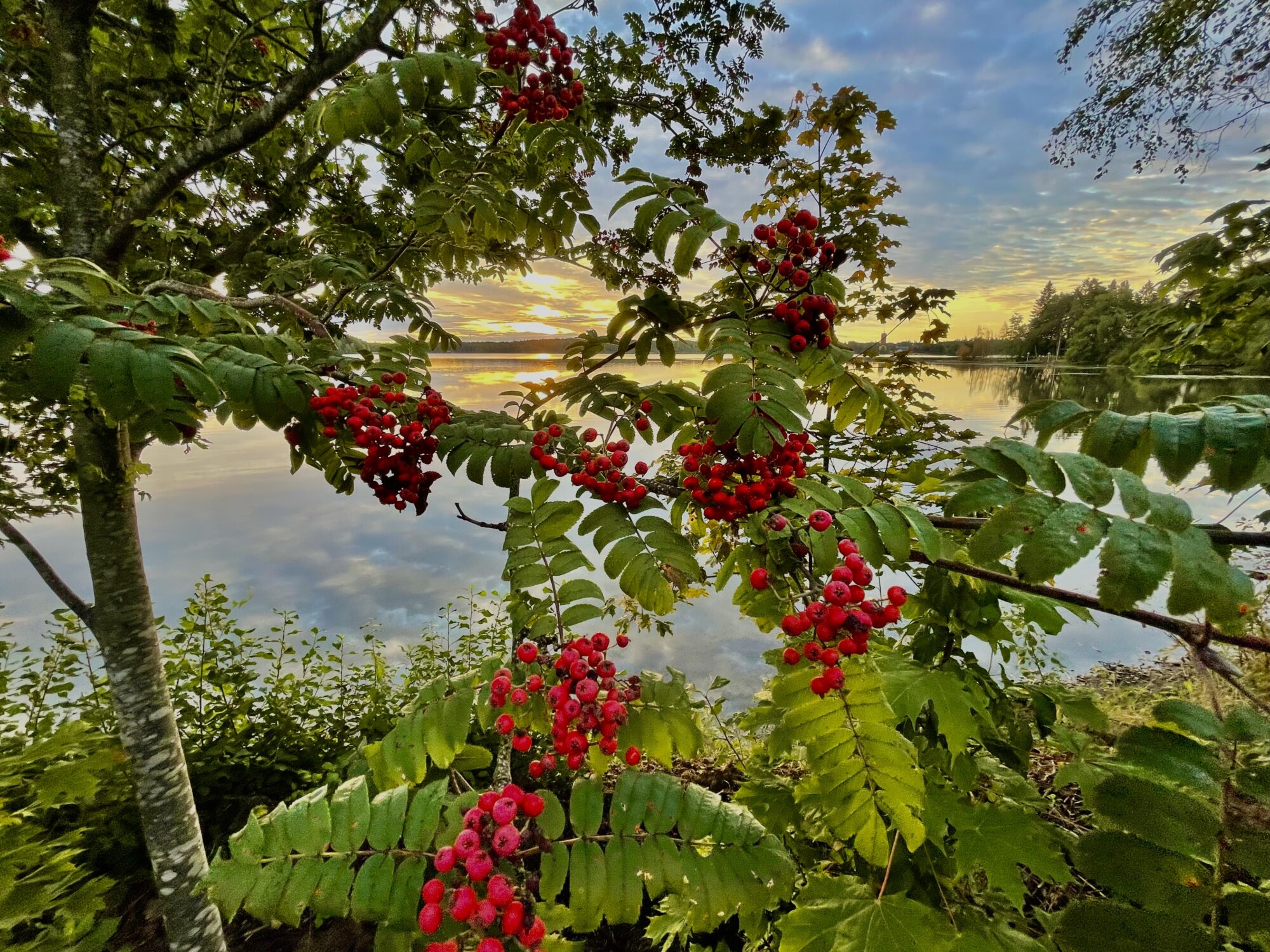 Valokuvaaja: Juhani Peltonen Valokuvaaja: Juhani Peltonen
