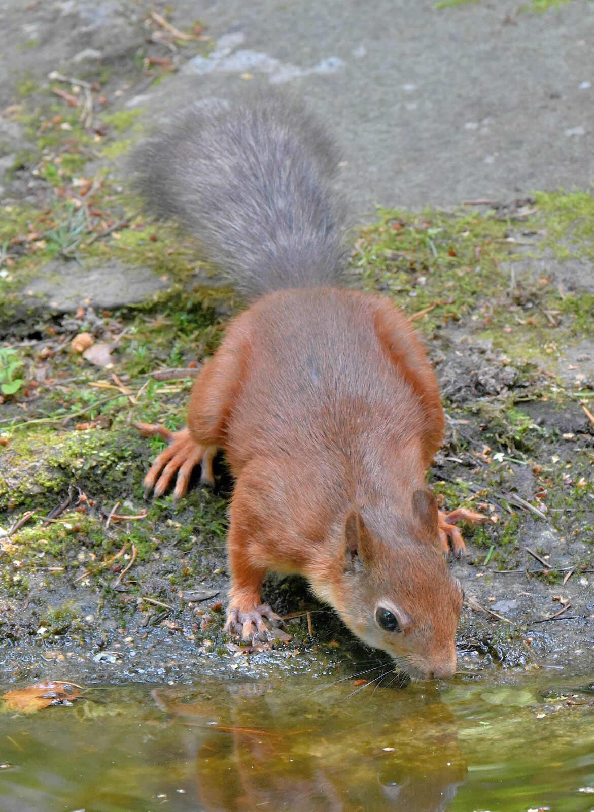 Valokuvaaja: Reijo Juurinen