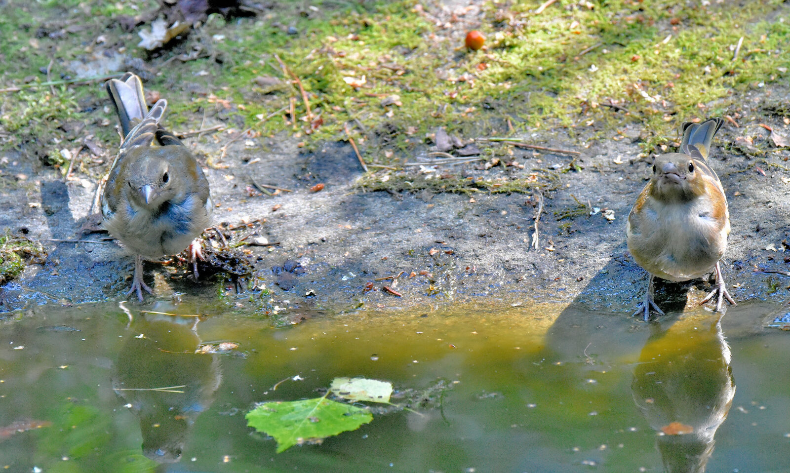Valokuvaaja: Reijo Juurinen